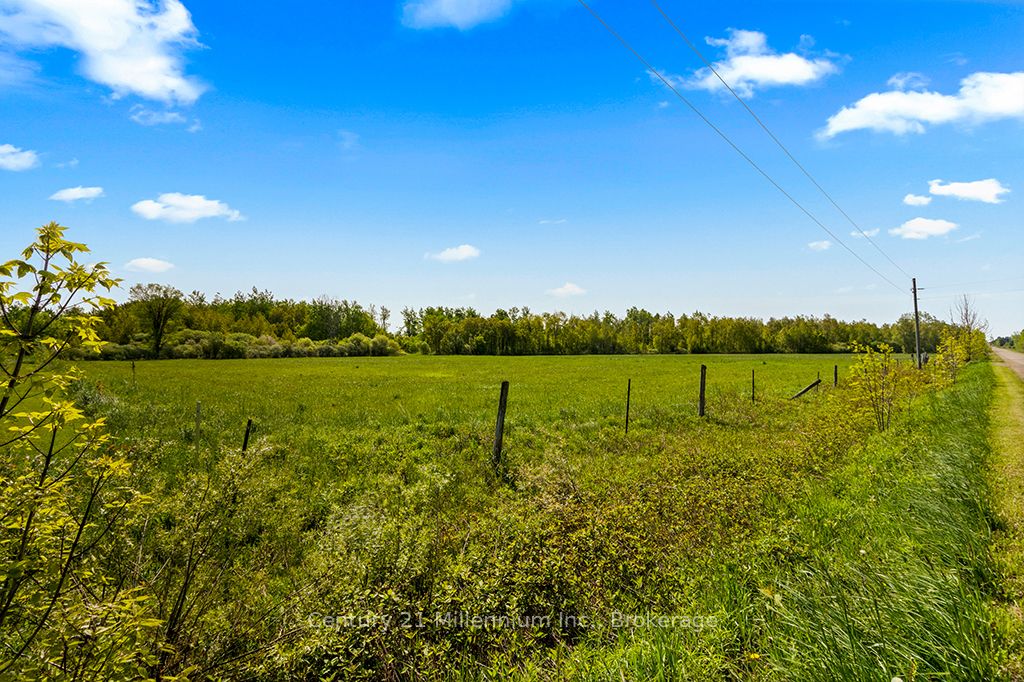 375533 6th Line Property Photo 7