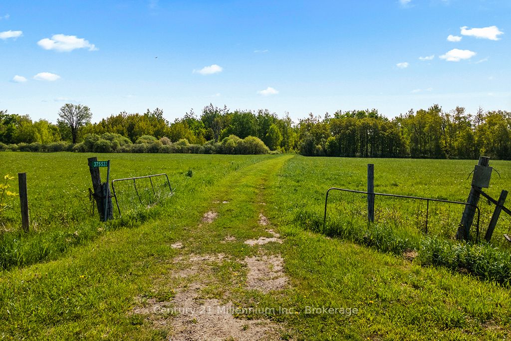 375533 6th Line Property Photo 8