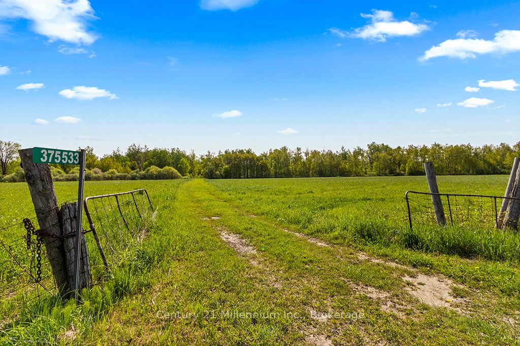 375533 6th Line Property Photo 9