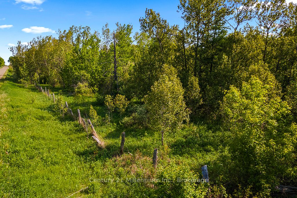 375533 6th Line Property Photo 10