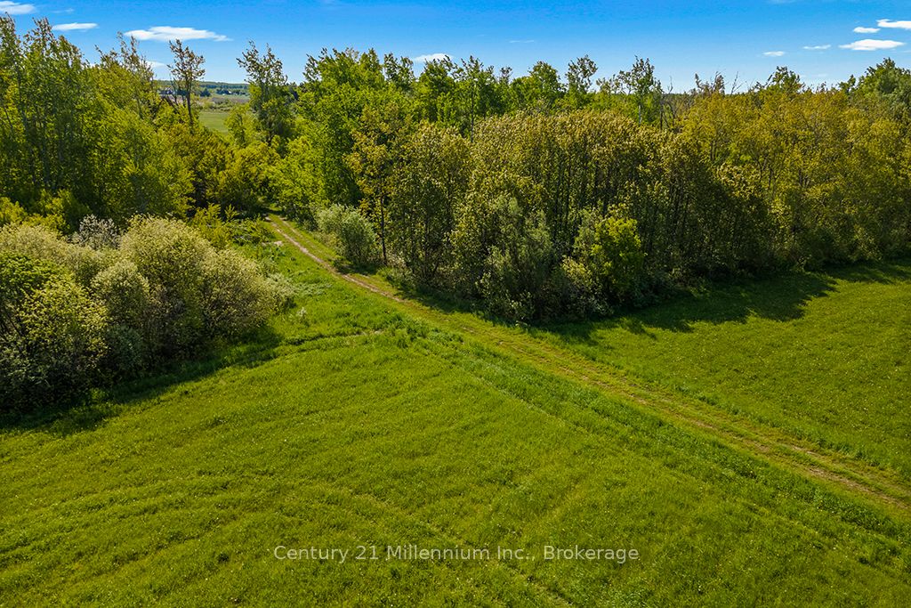 375533 6th Line Property Photo 13