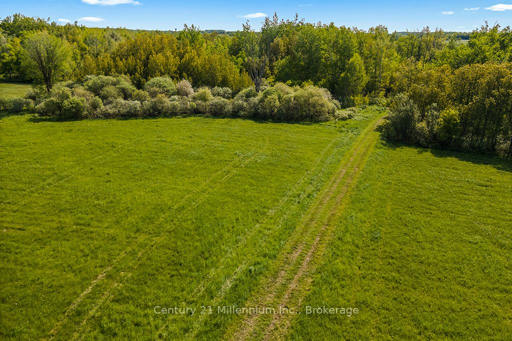 375533 6th Line Property Photo 14