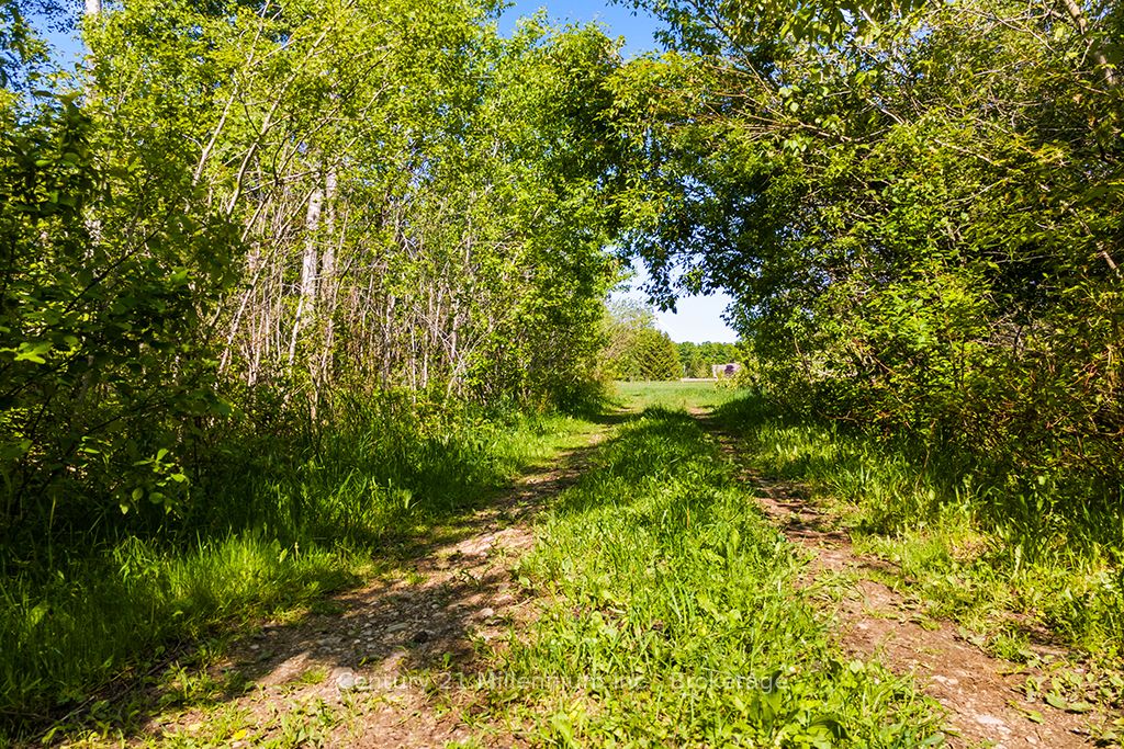 375533 6th Line Property Photo 15