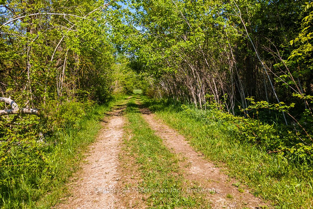 375533 6th Line Property Photo 16