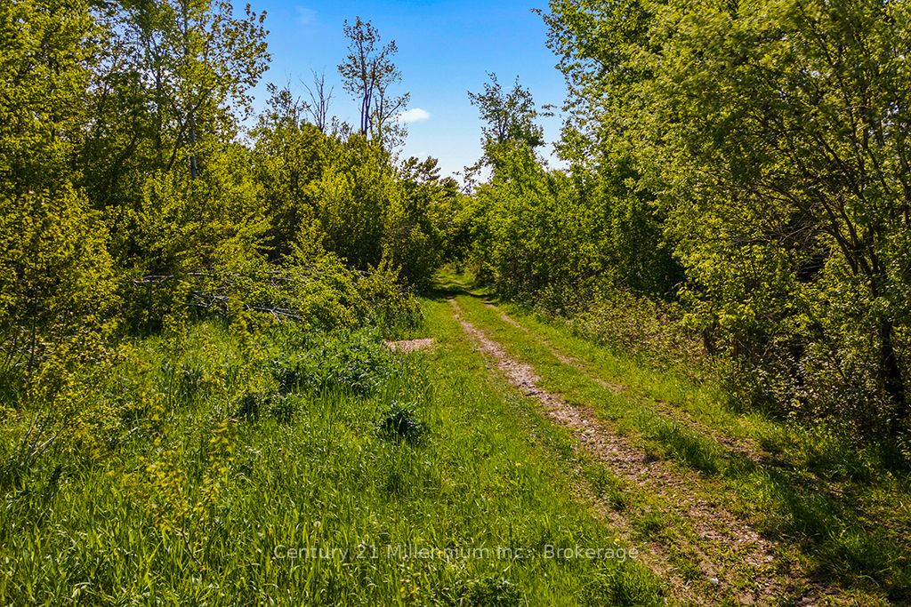 375533 6th Line Property Photo 17