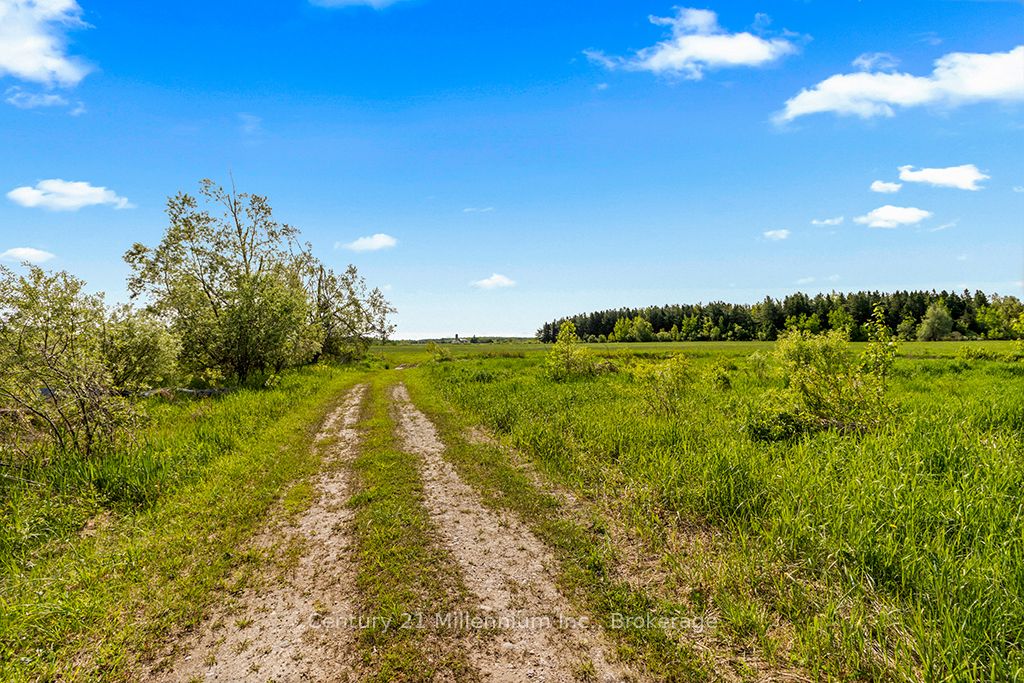 375533 6th Line Property Photo 18