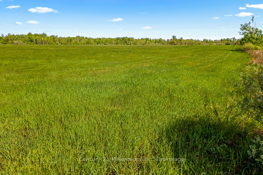 375533 6th Line Property Photo 22