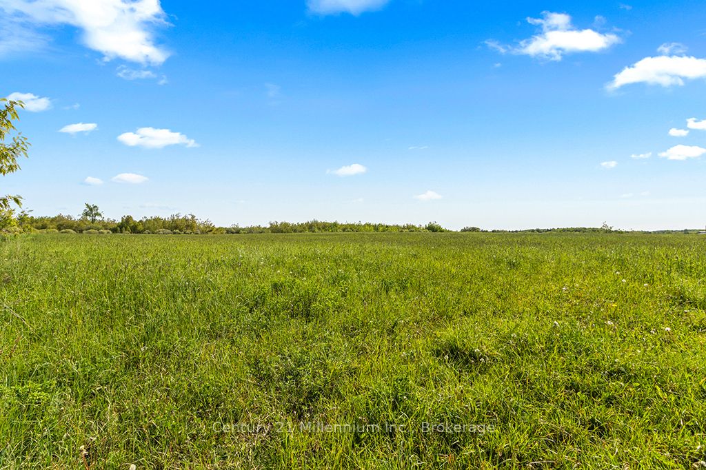 375533 6th Line Property Photo 23