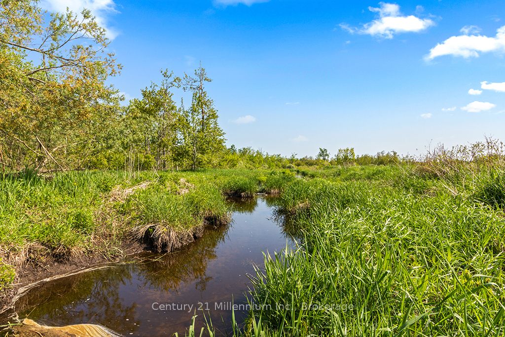 375533 6th Line Property Photo 28