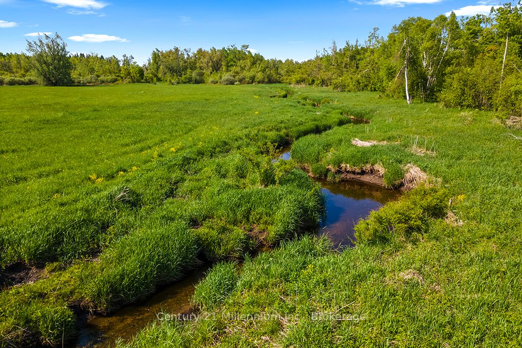 375533 6th Line Property Photo 31