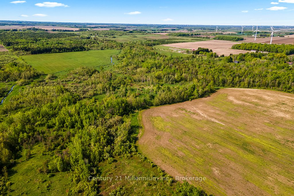 375533 6th Line Property Photo 34