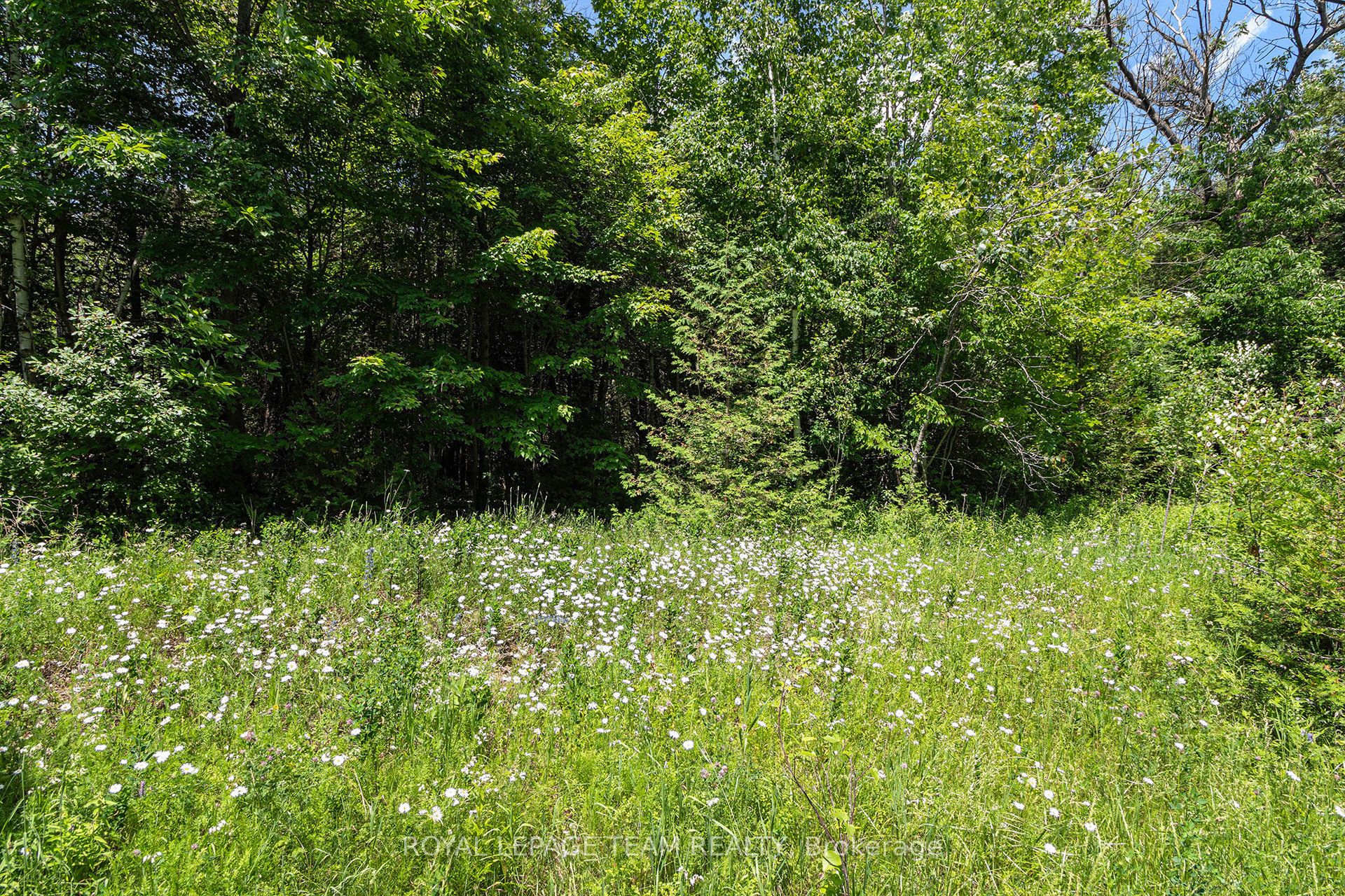 L2-3575 Paden Road Property Photo 4