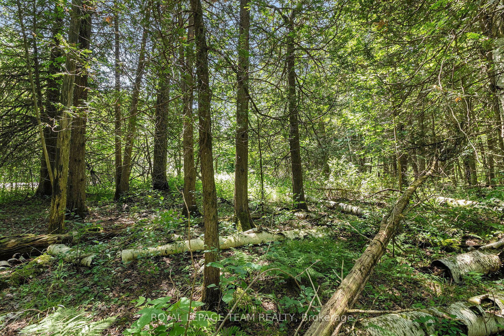 L2-3575 Paden Road Property Photo 7