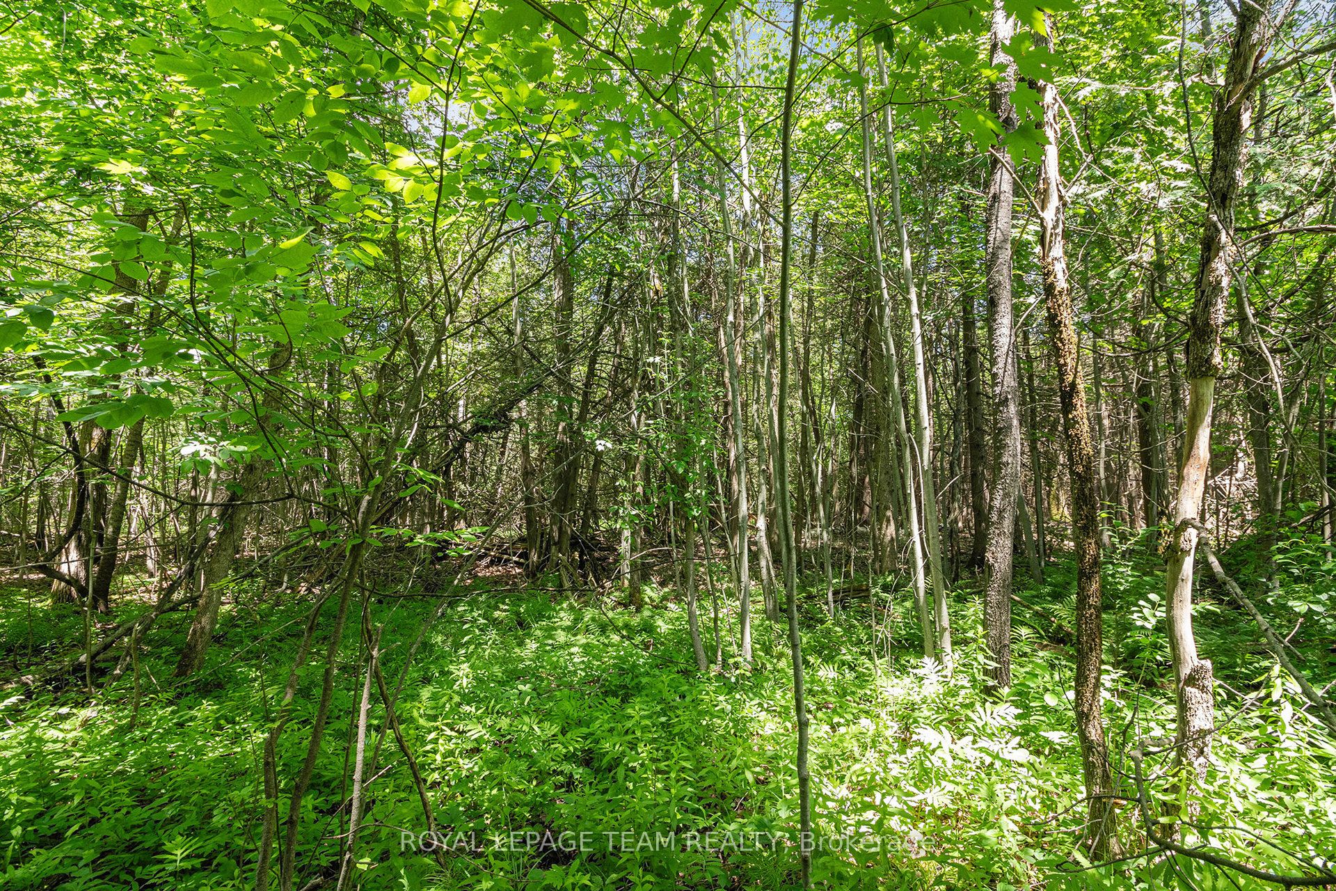 L2-3575 Paden Road Property Photo 8