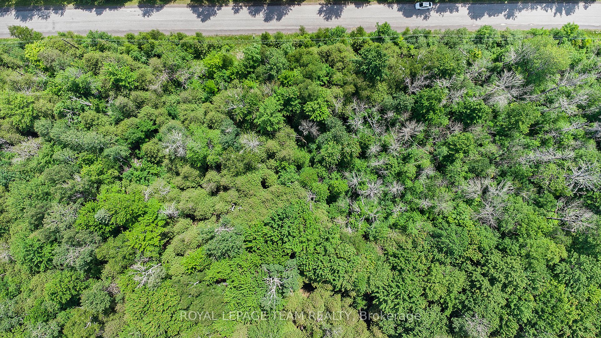 L2-3575 Paden Road Property Photo 11