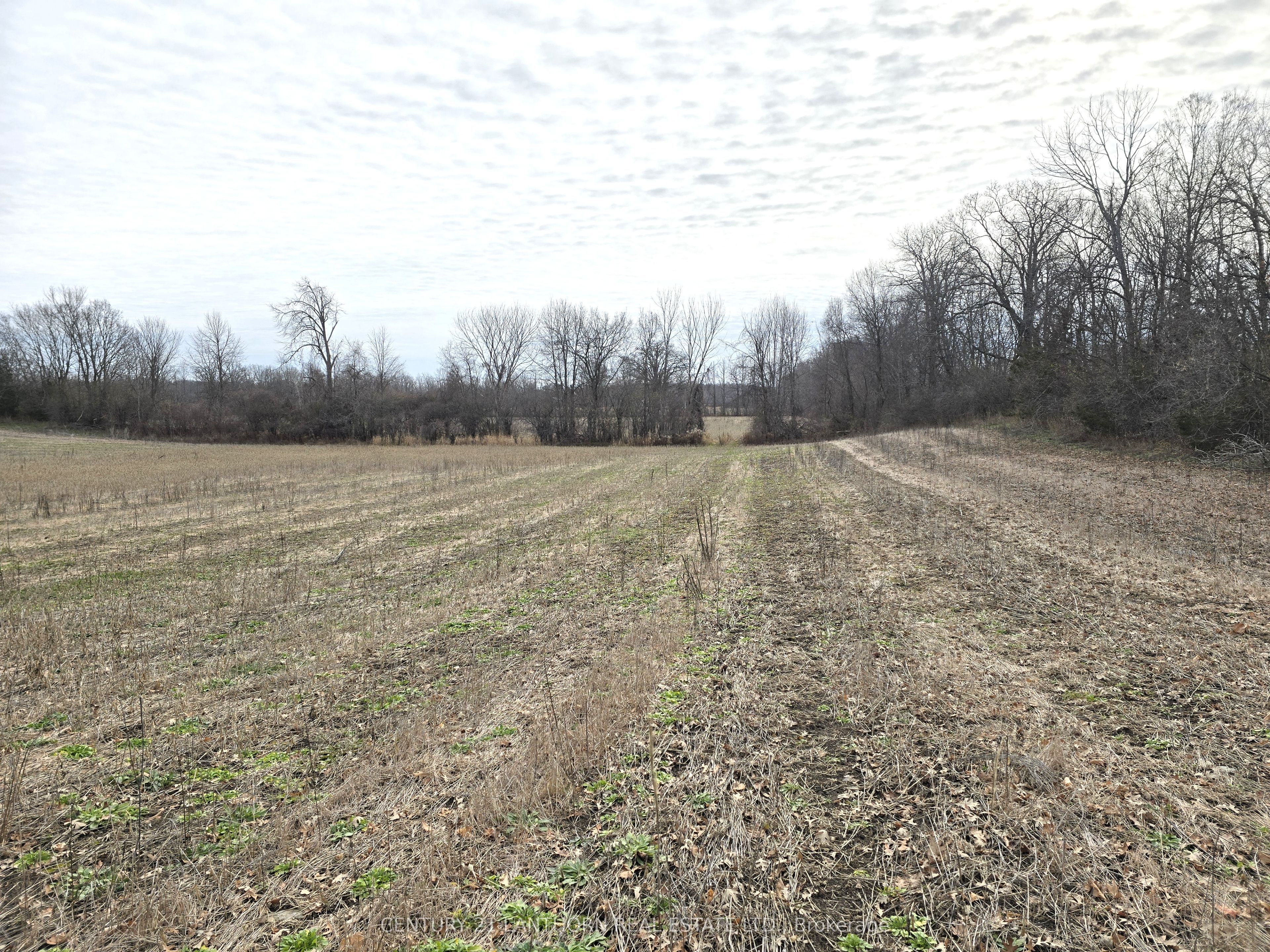 175 Hall Settlement Road Property Photo 46