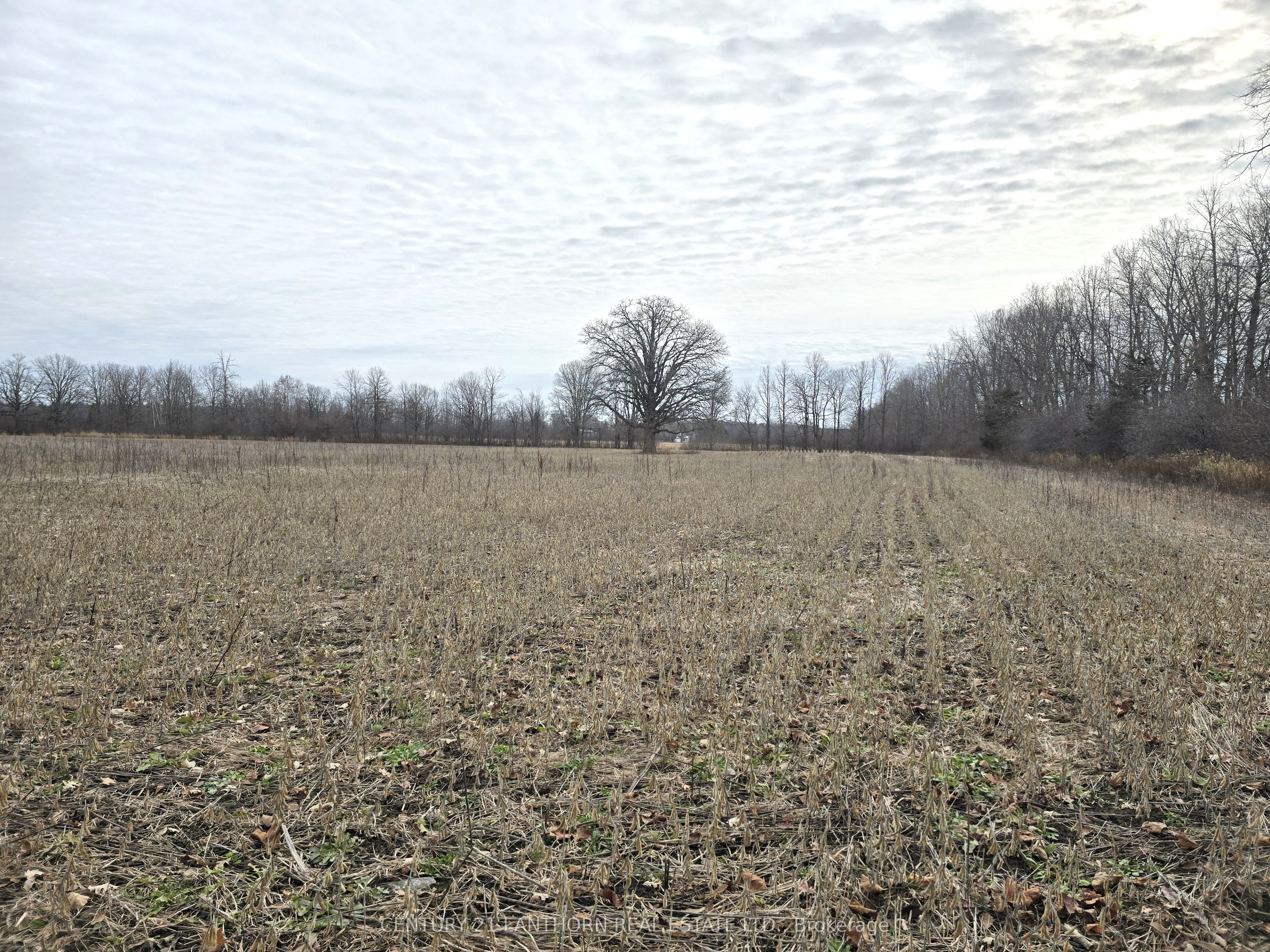 175 Hall Settlement Road Property Photo 47