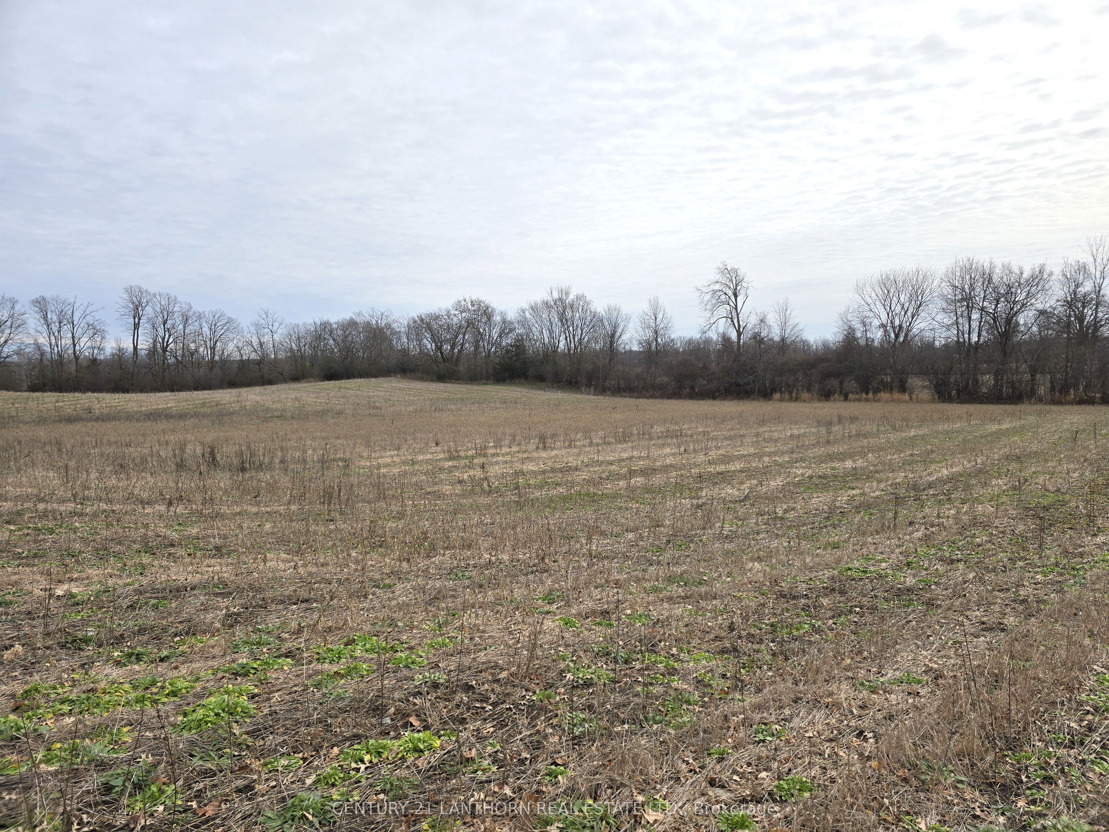 175 Hall Settlement Road Property Photo 48