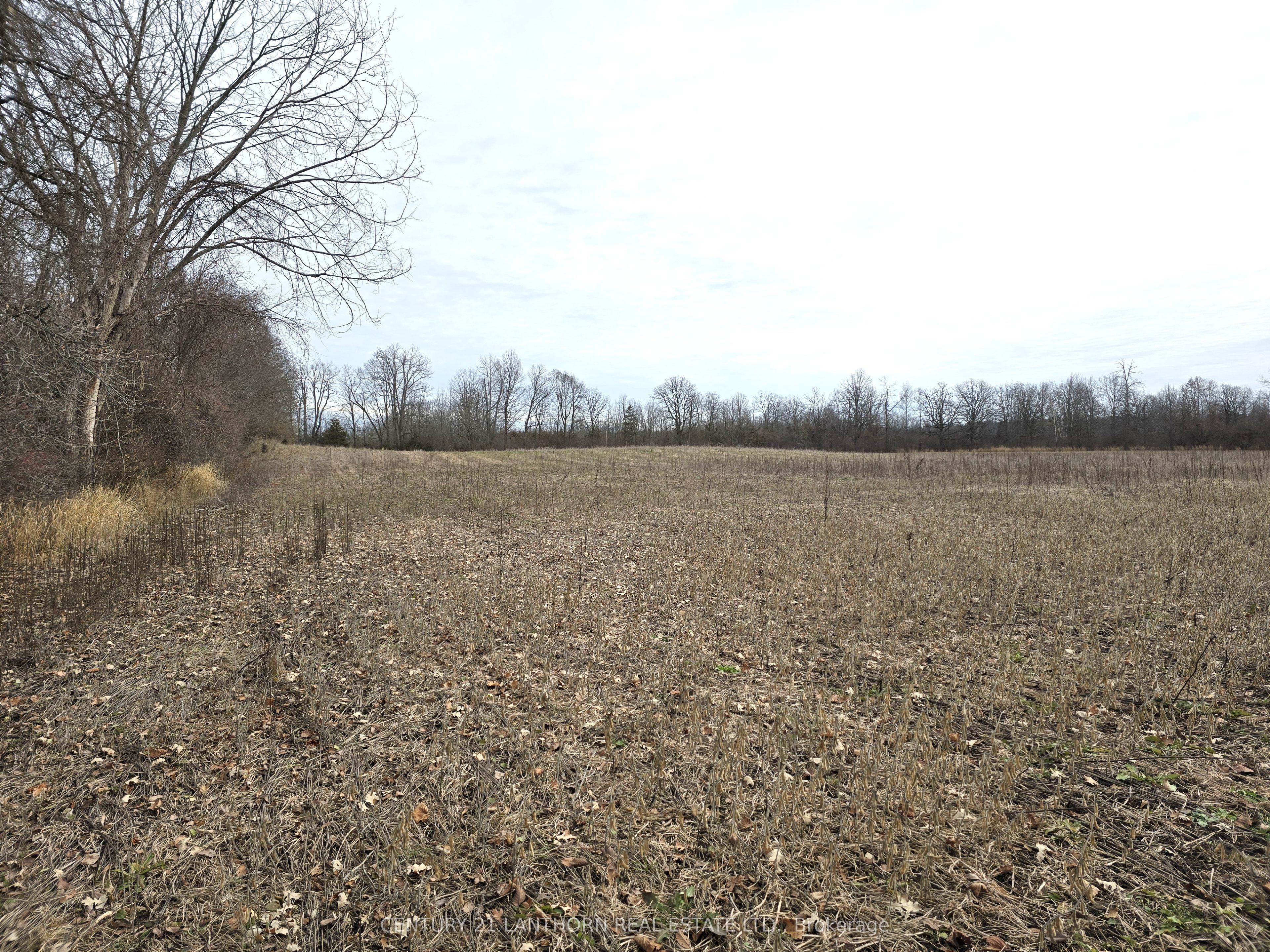175 Hall Settlement Road Property Photo 49