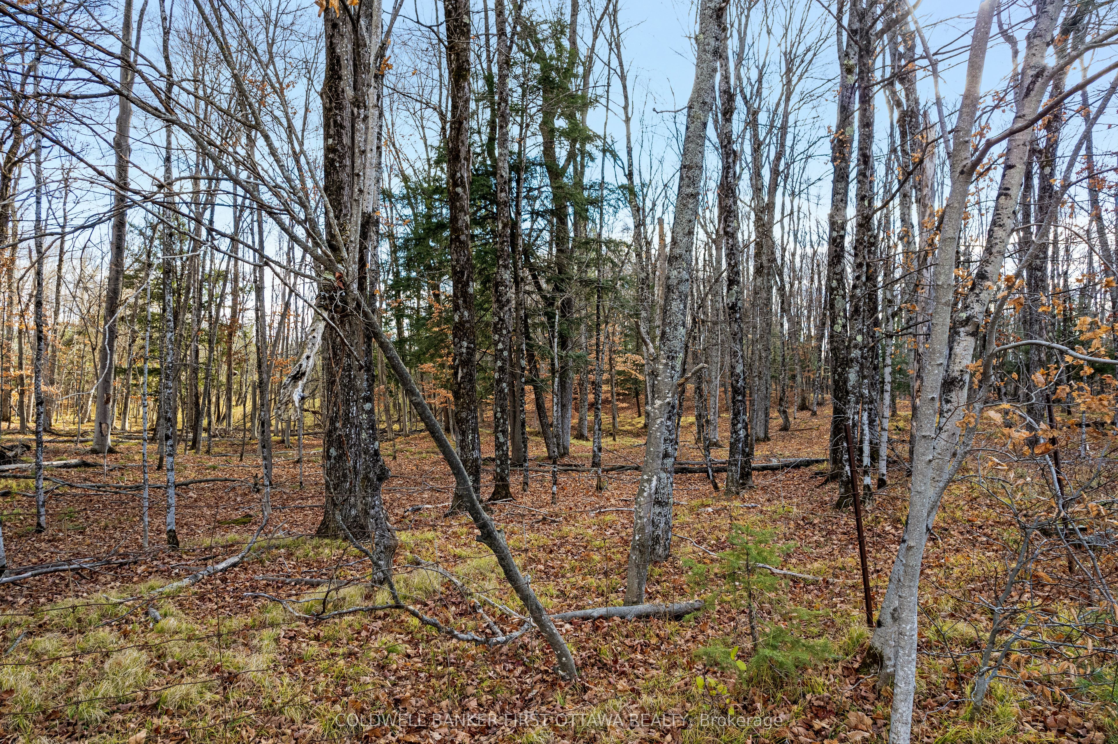 Pt 1-00 Herron Mills Road Property Photo 3