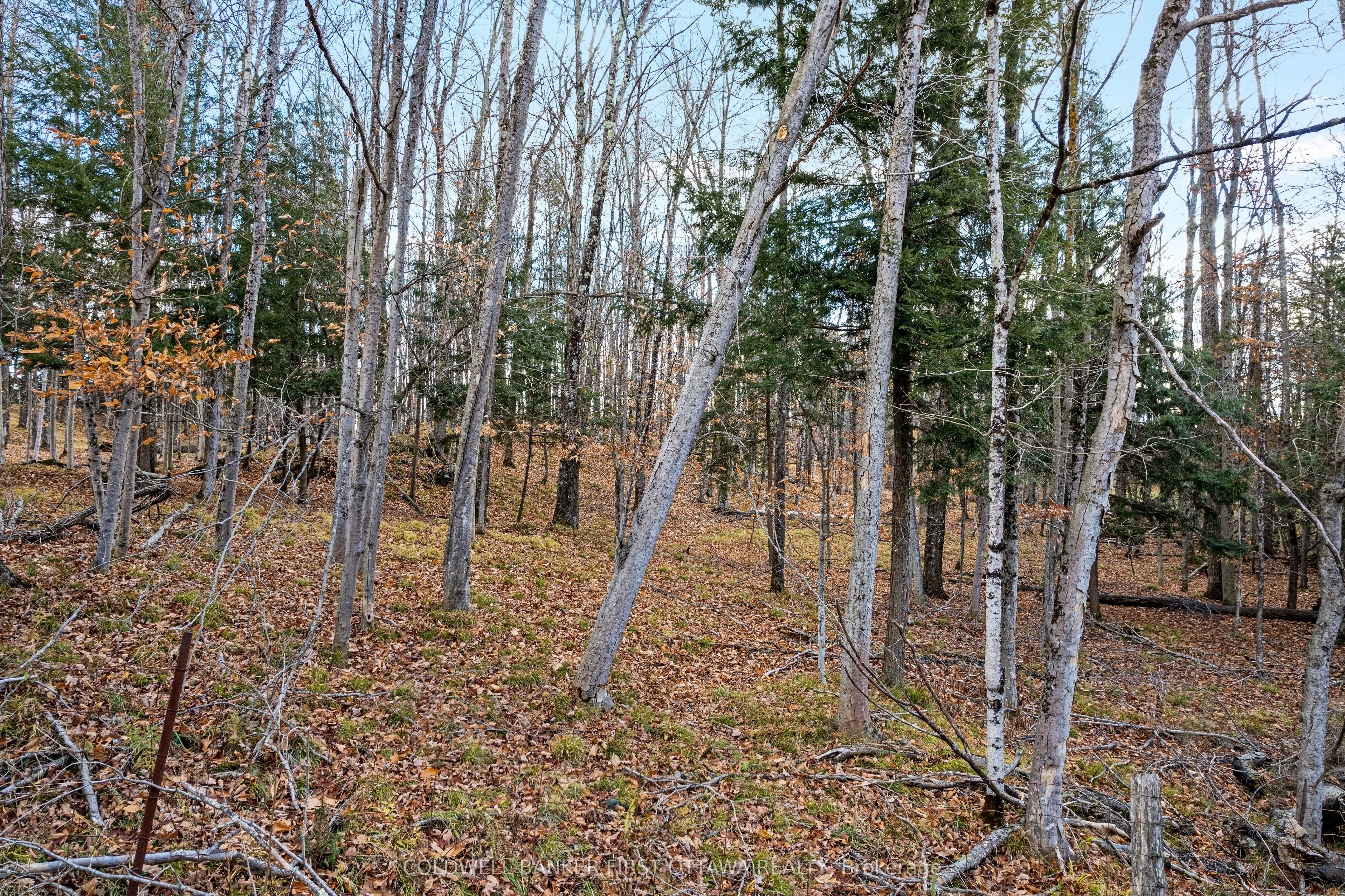 Pt 1-00 Herron Mills Road Property Photo 4
