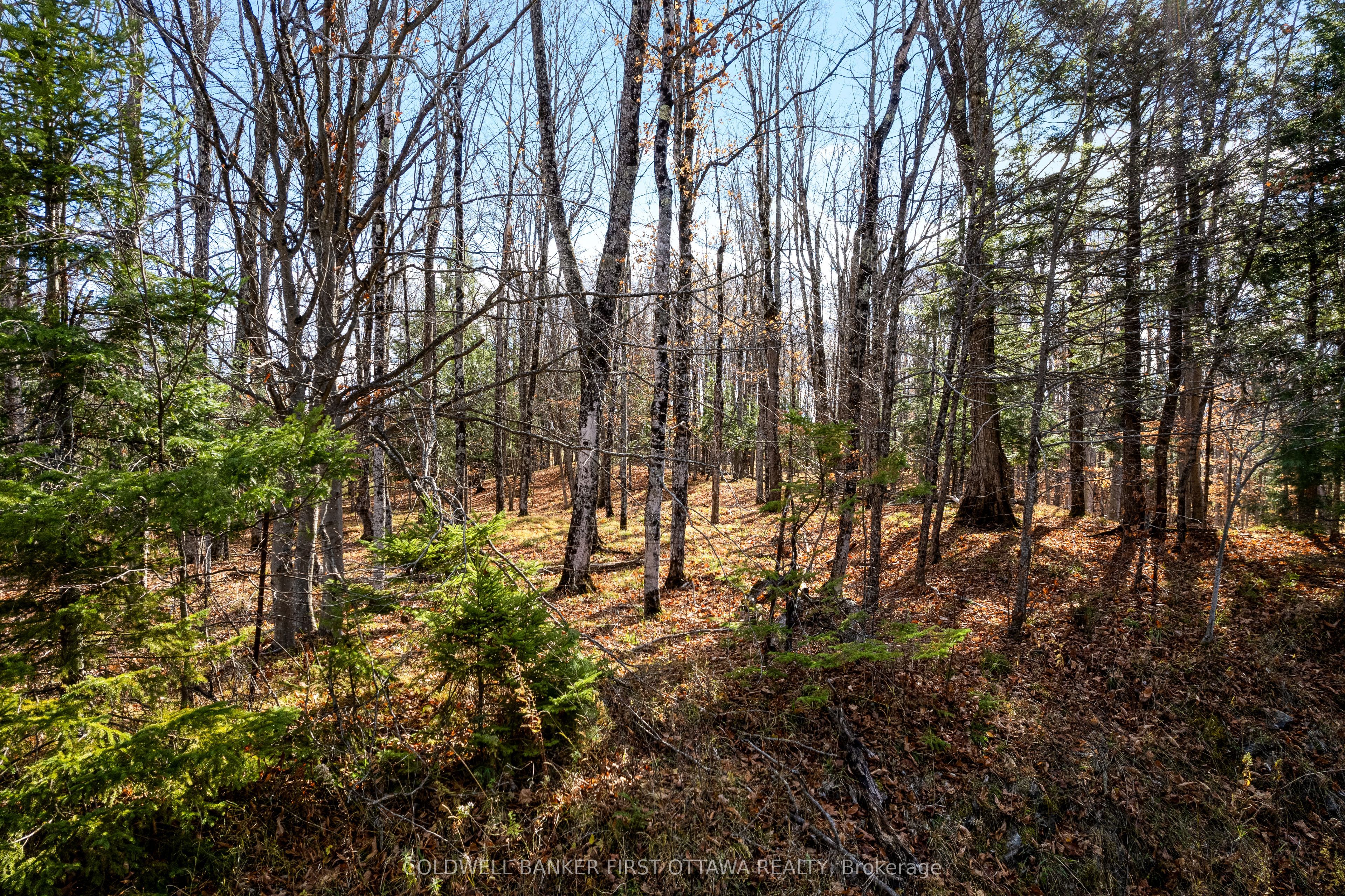 Pt 3-00 Herron Mills Road Property Photo 6