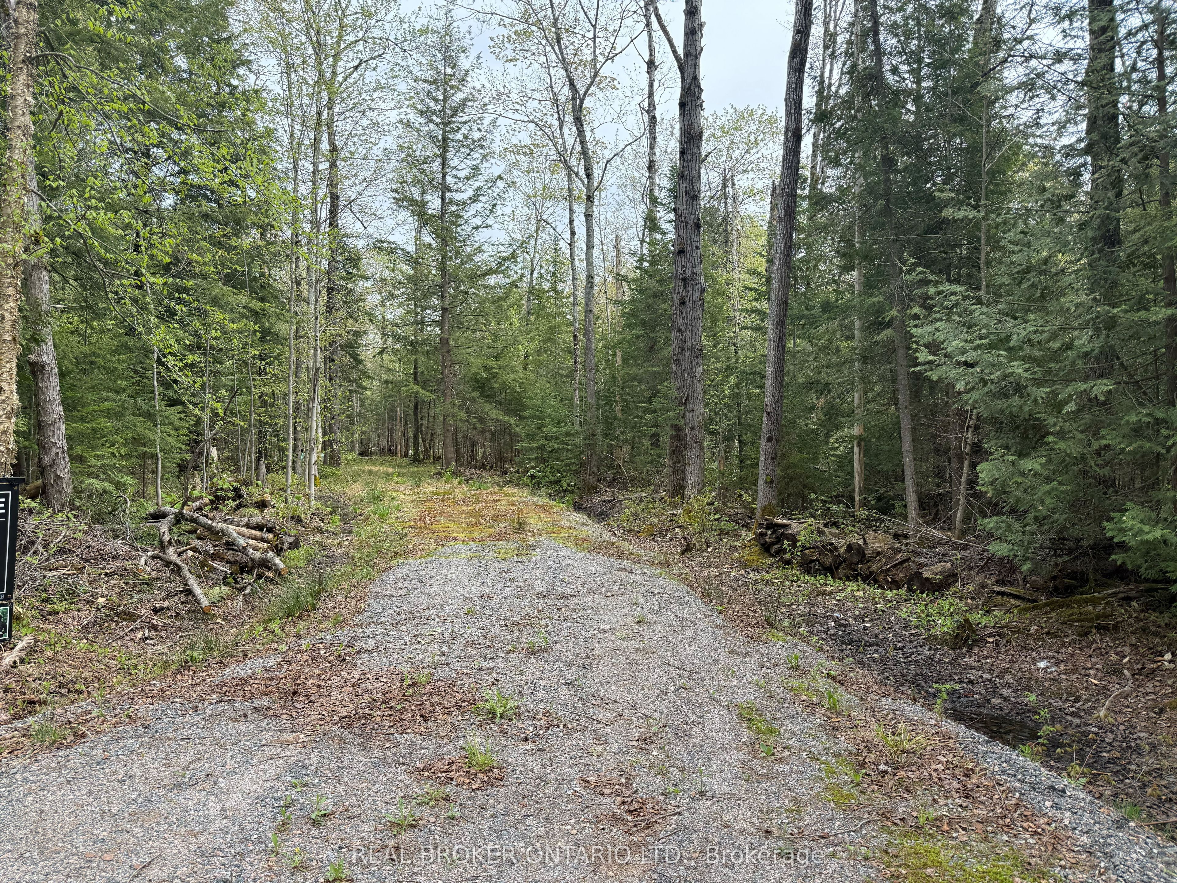0 Bear Cave Road Property Photo 6