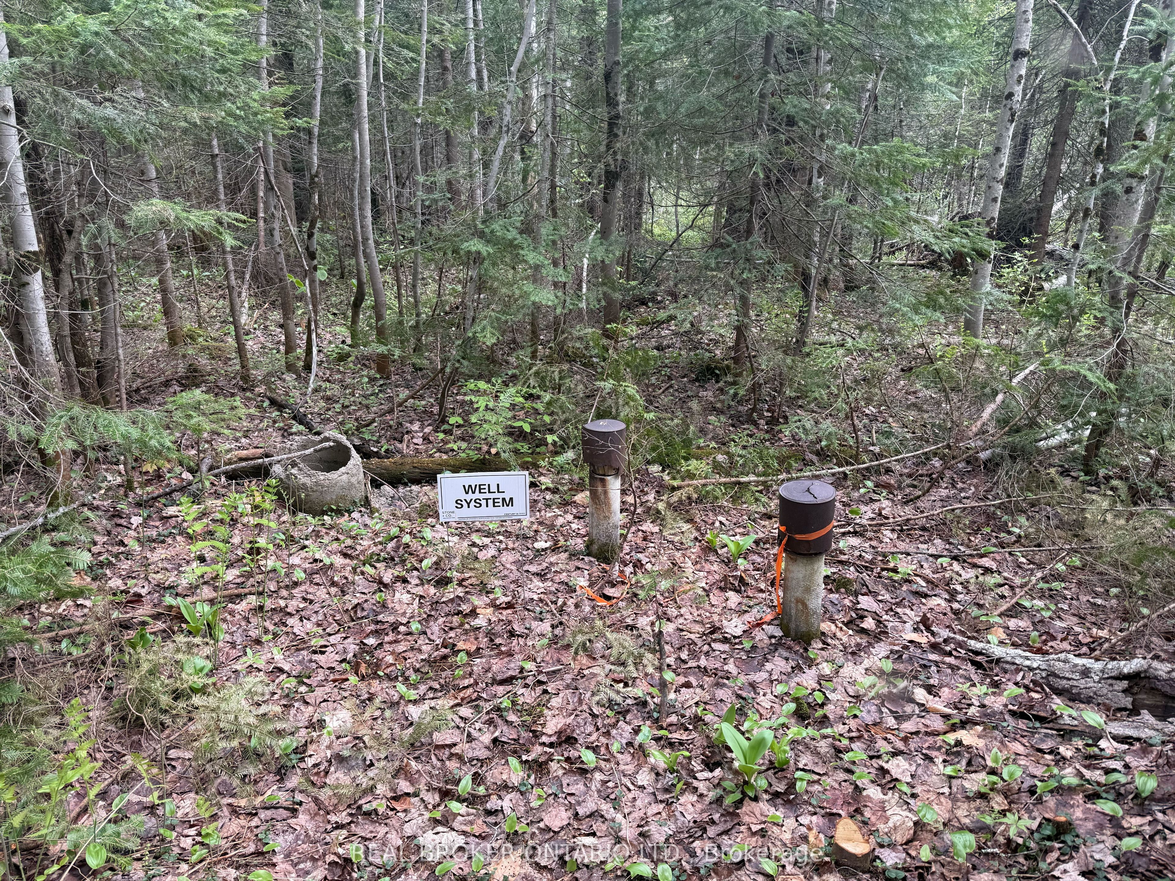 0 Bear Cave Road Property Photo 7