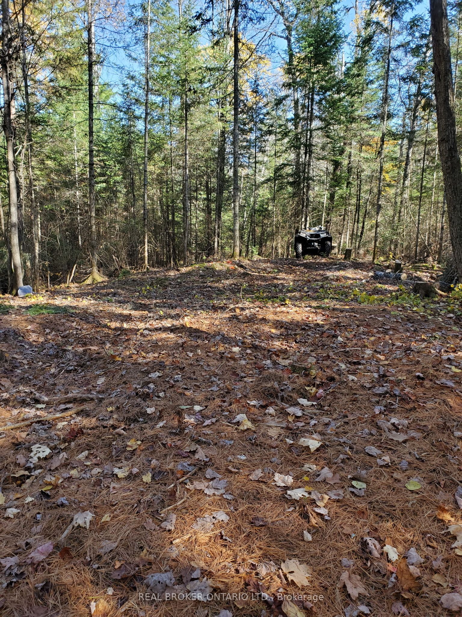 0 Bear Cave Road Property Photo 11