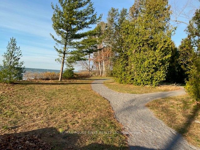 Lot 7 Cedar Shore Trail Property Photo 5
