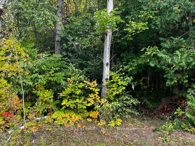 7 Shore Road Property Photo 2