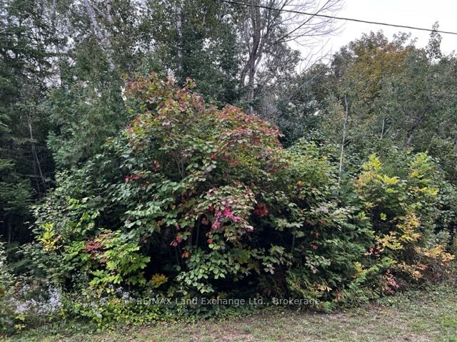 5 SHORE Road Property Photo 1