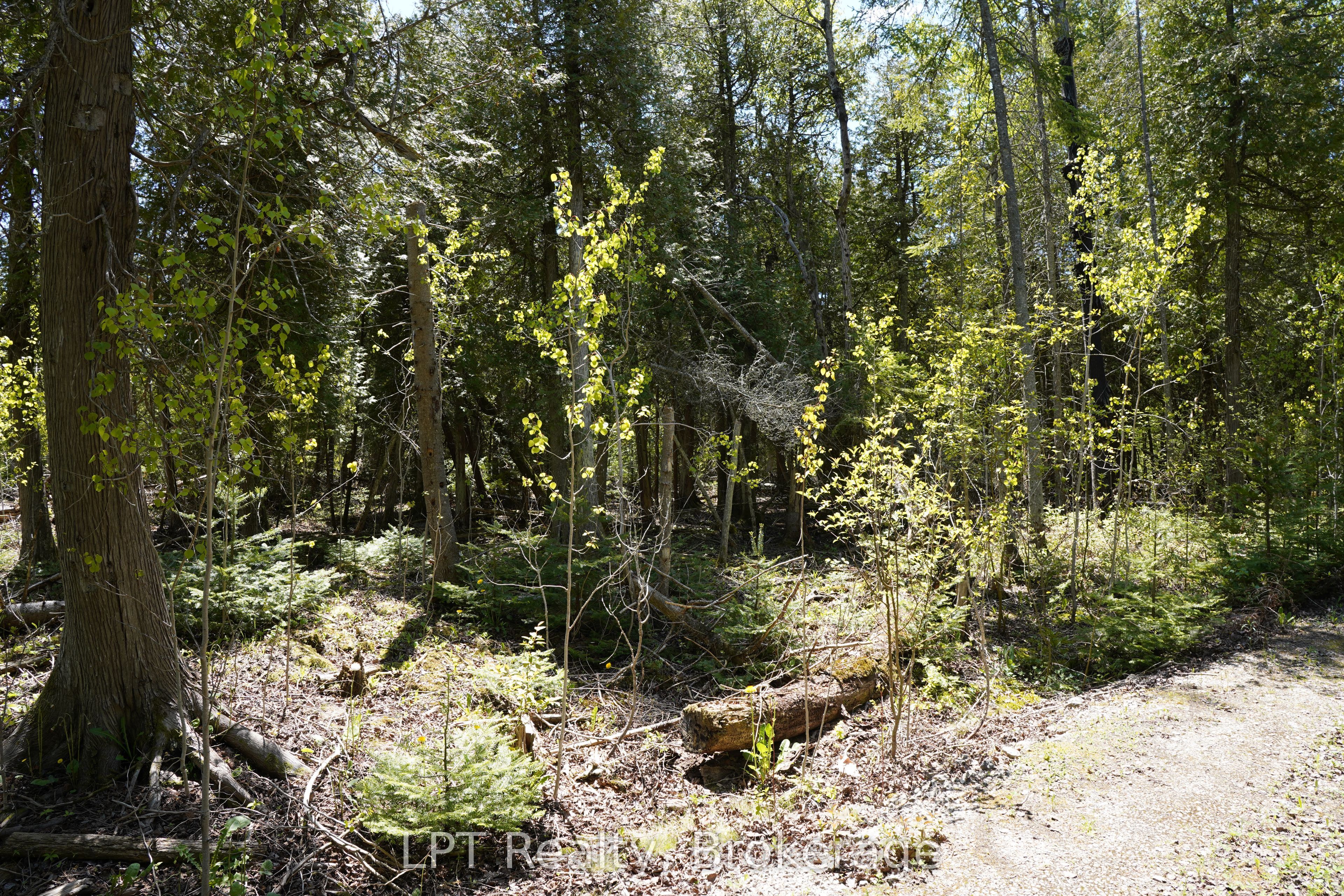 Pt Lt 36 Walter Charman Drive Property Photo 19