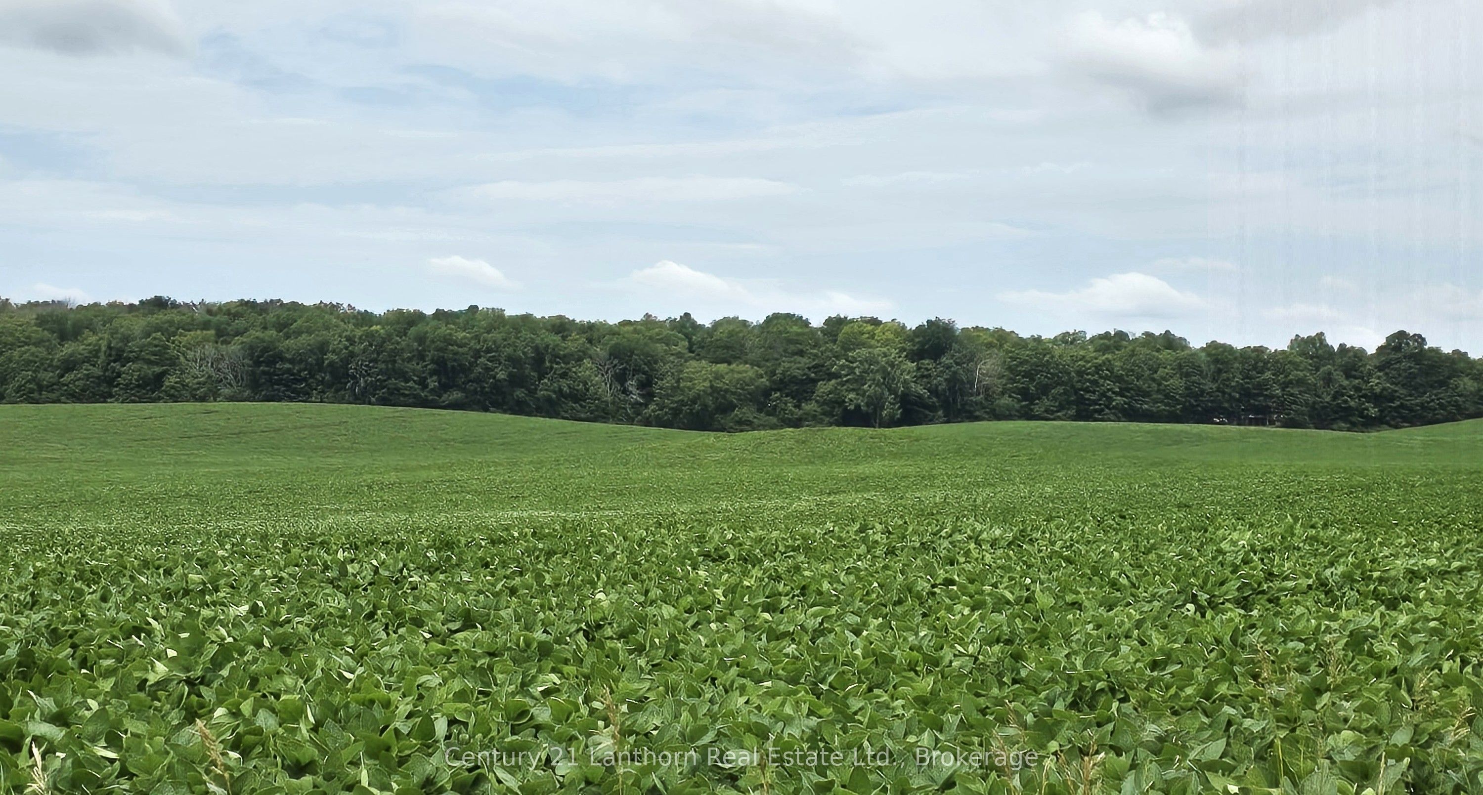 0 Willet Road Property Photo 2