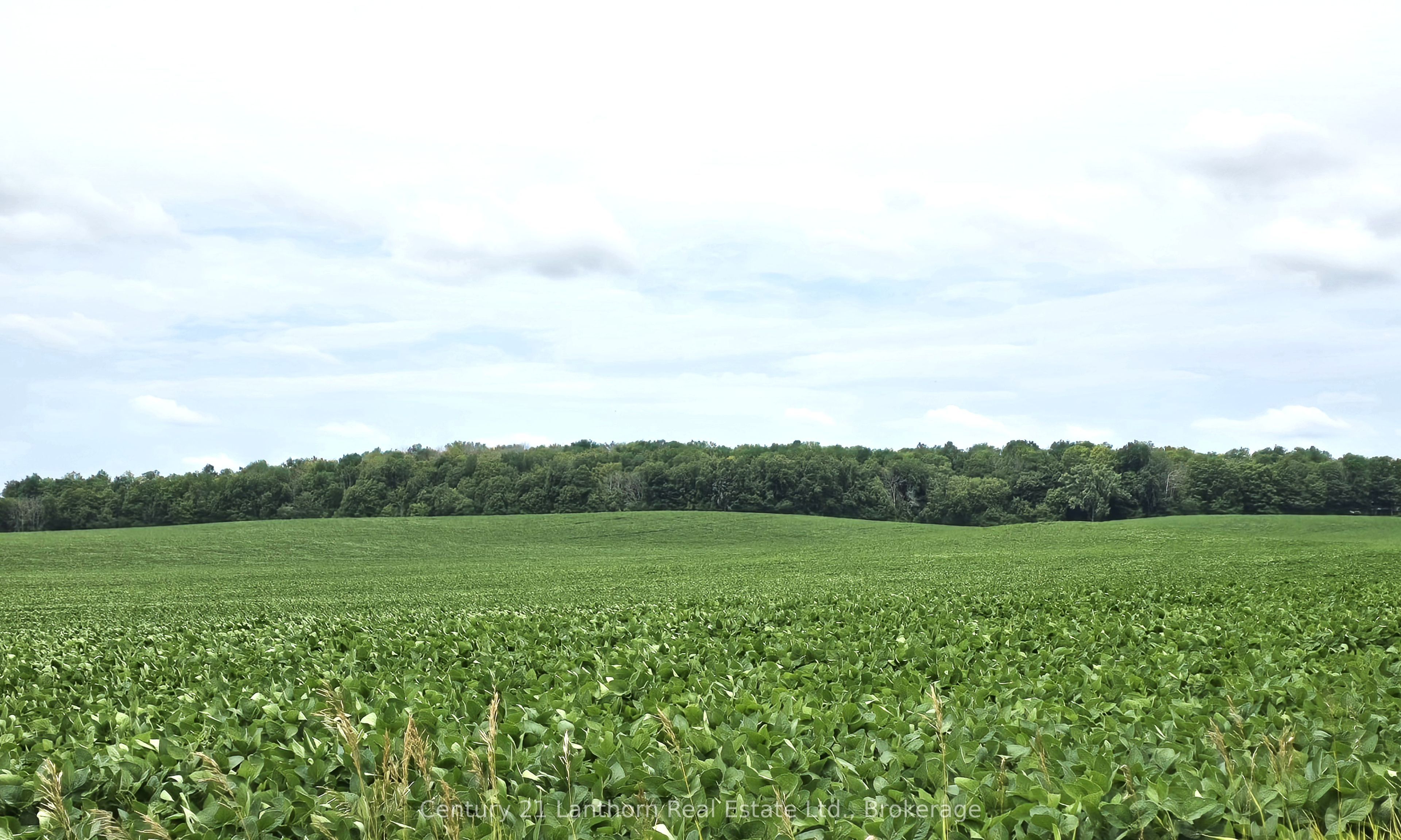 0 Willet Road Property Photo 3