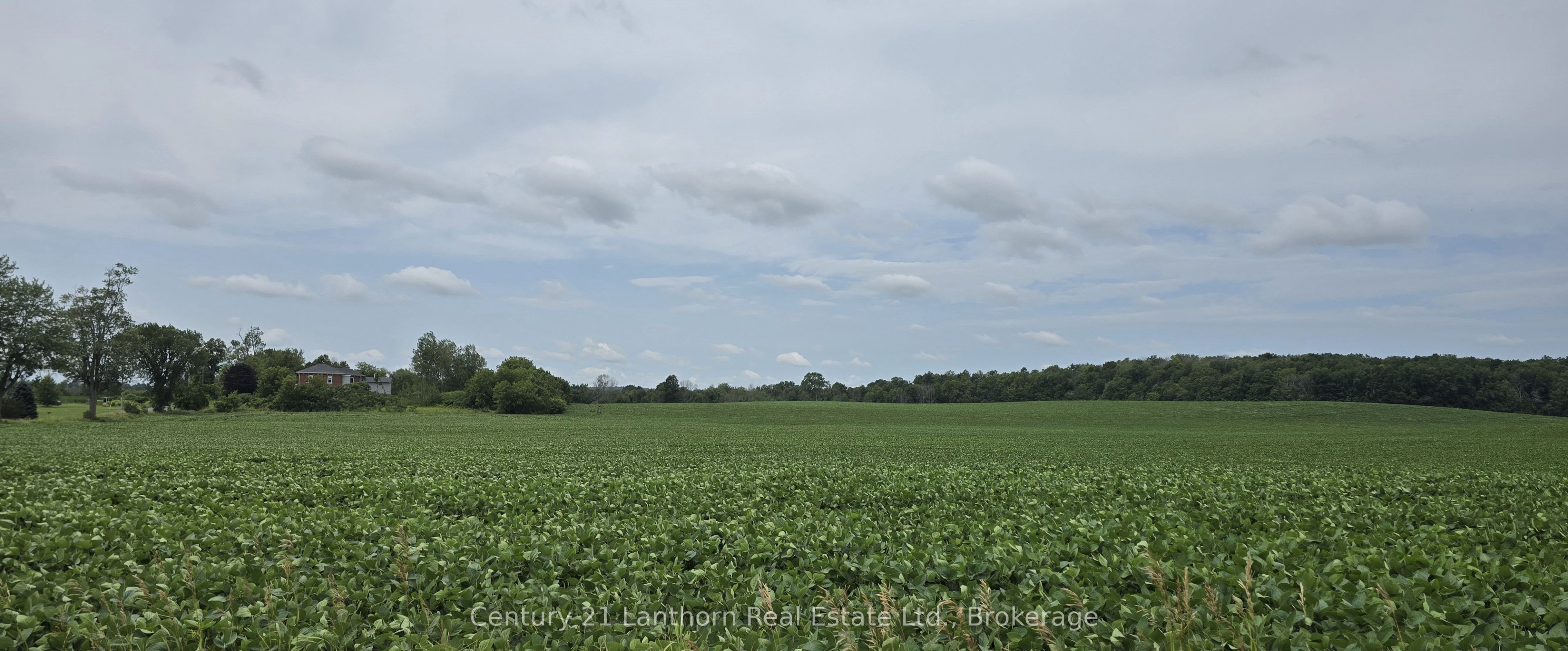 0 Willet Road Property Photo 14