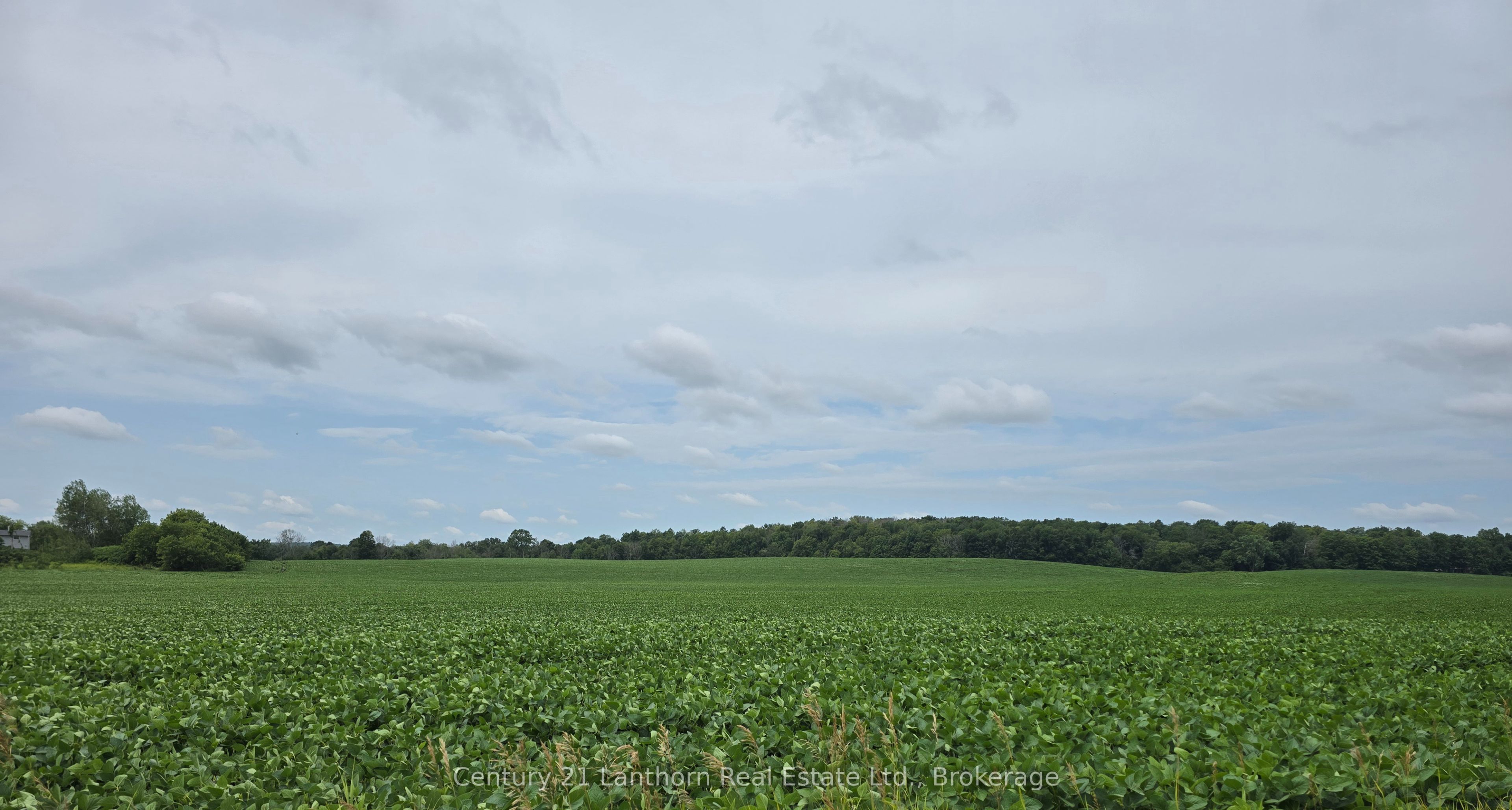 0 Willet Road Property Photo 15