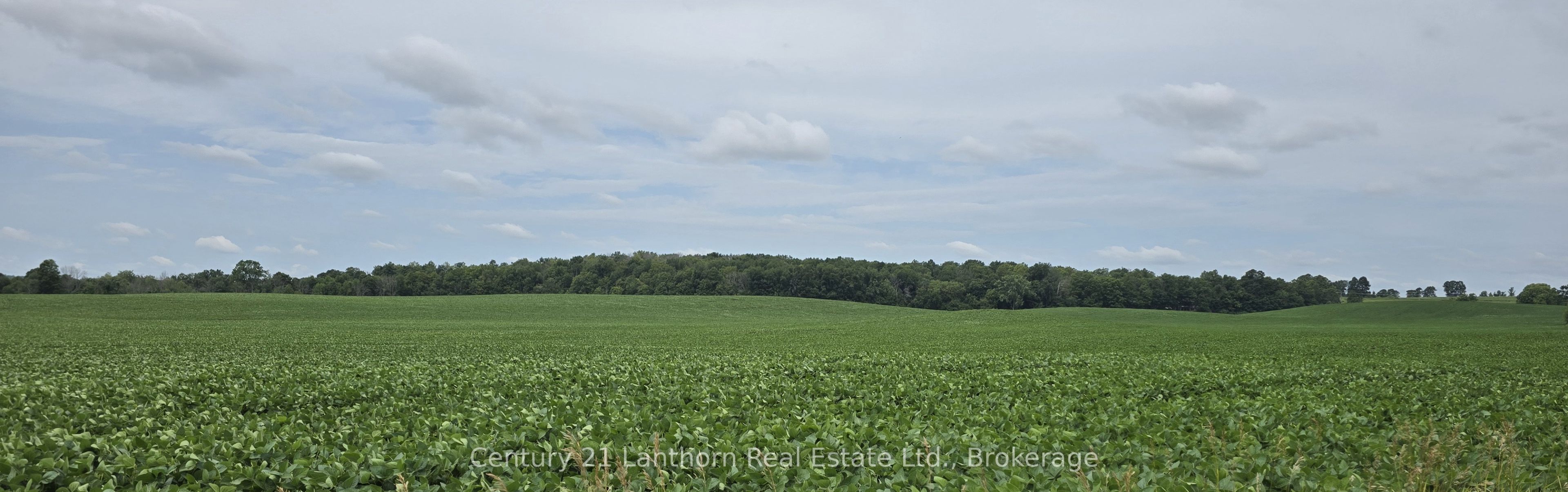 0 Willet Road Property Photo 16