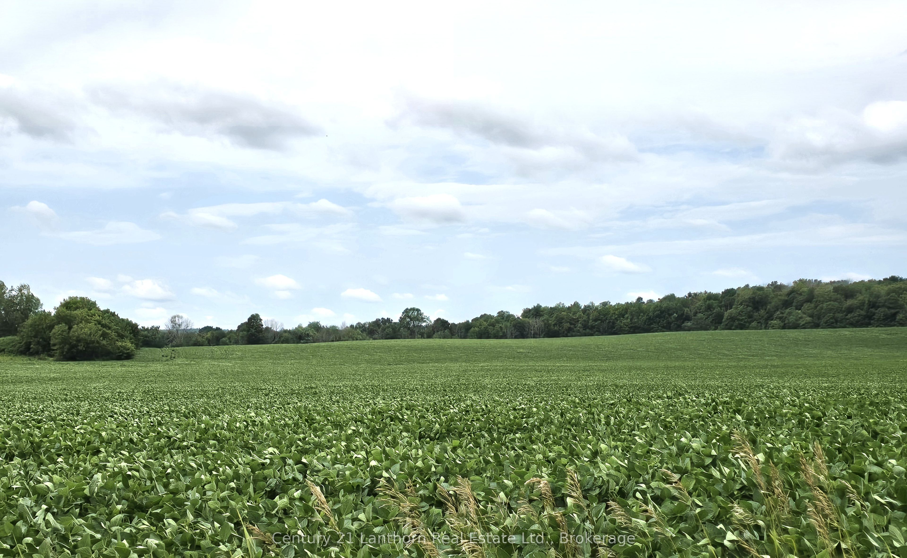 0 Willet Road Property Photo 17