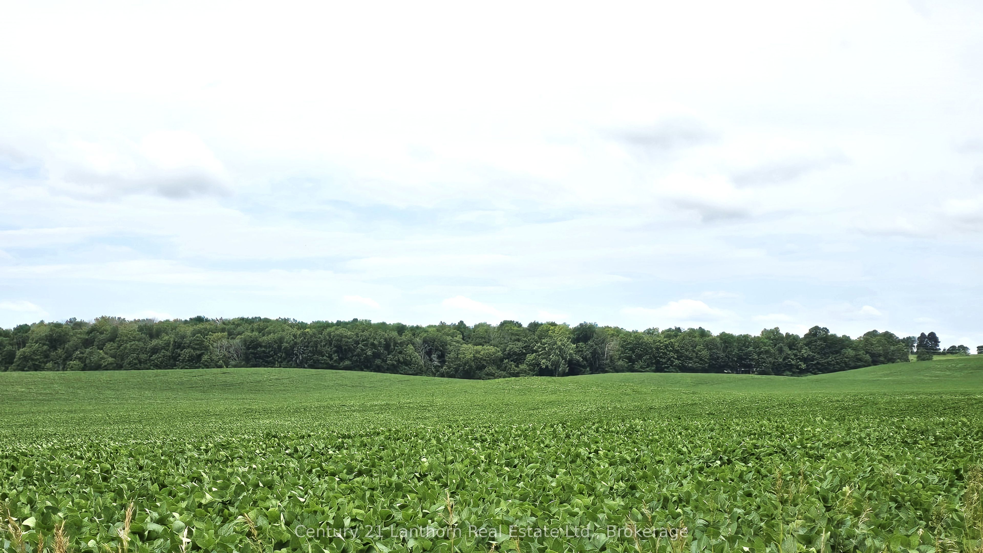 0 Willet Road Property Photo 18