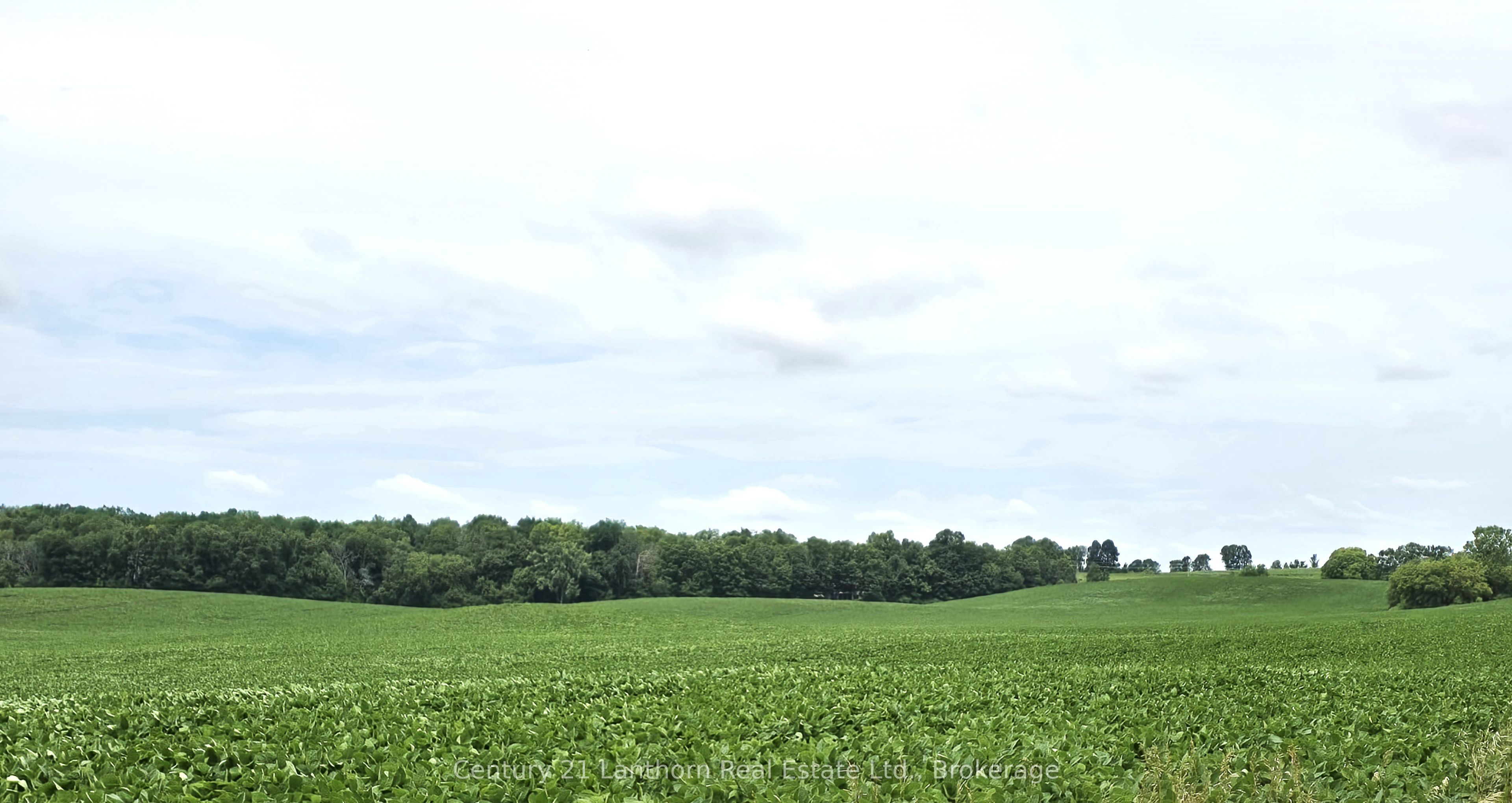 0 Willet Road Property Photo 19