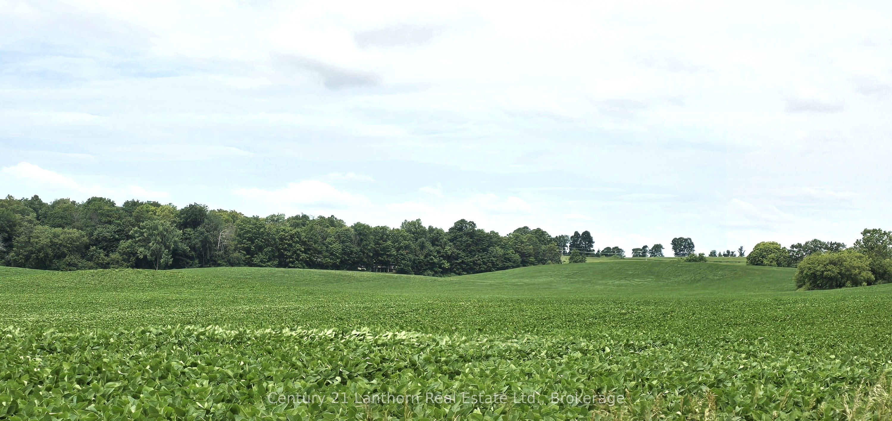 0 Willet Road Property Photo 20