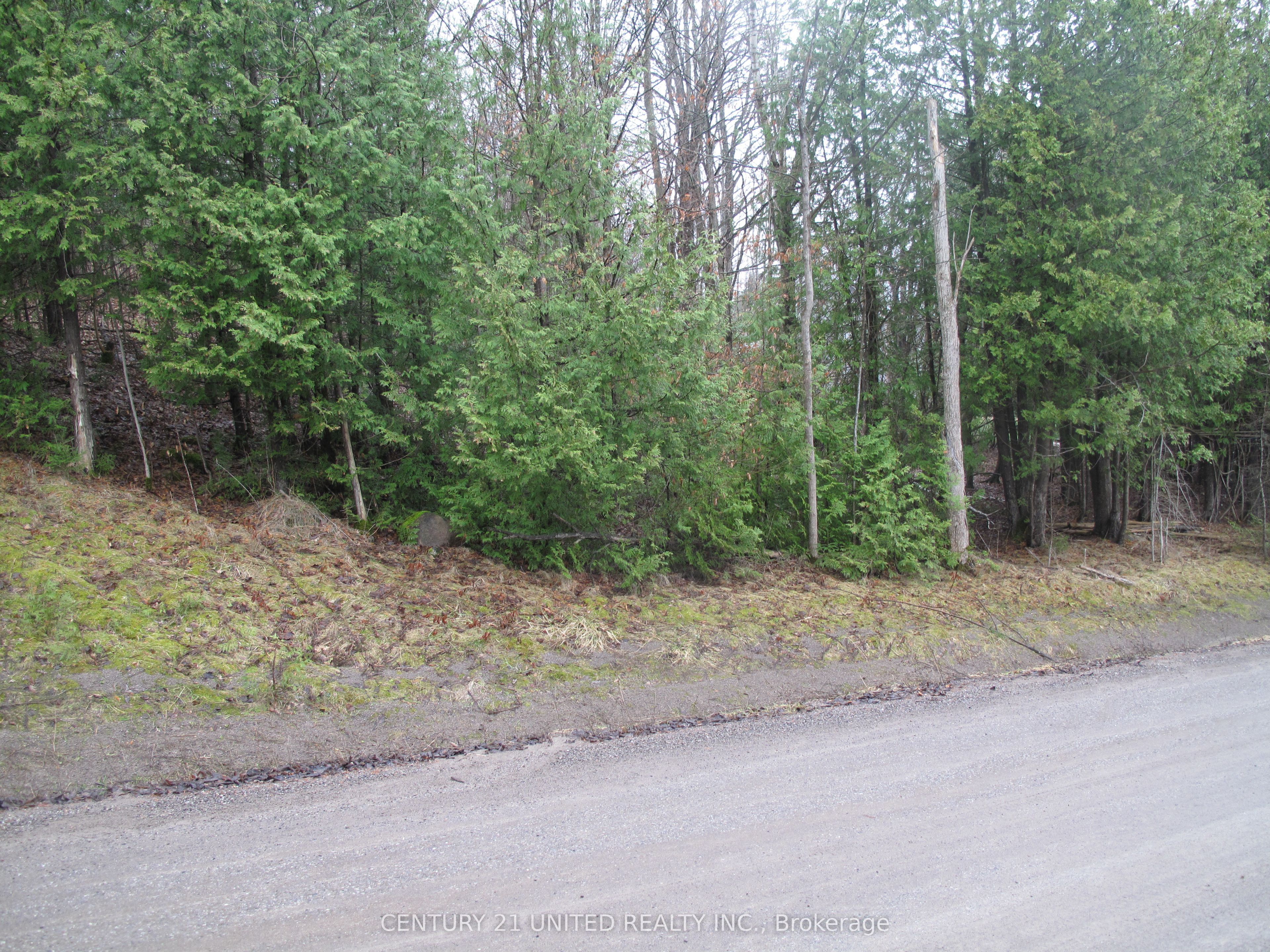 37 Trent View Dr Property Photo 1