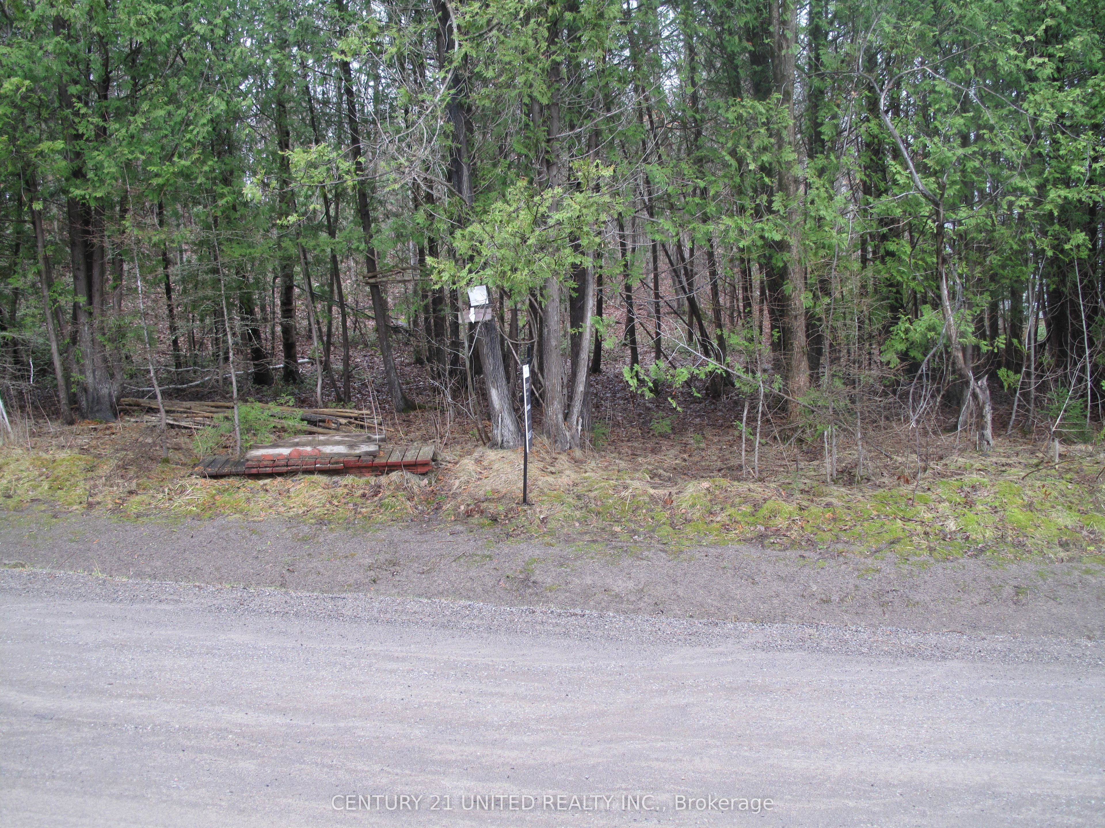 37 Trent View Dr Property Photo 7