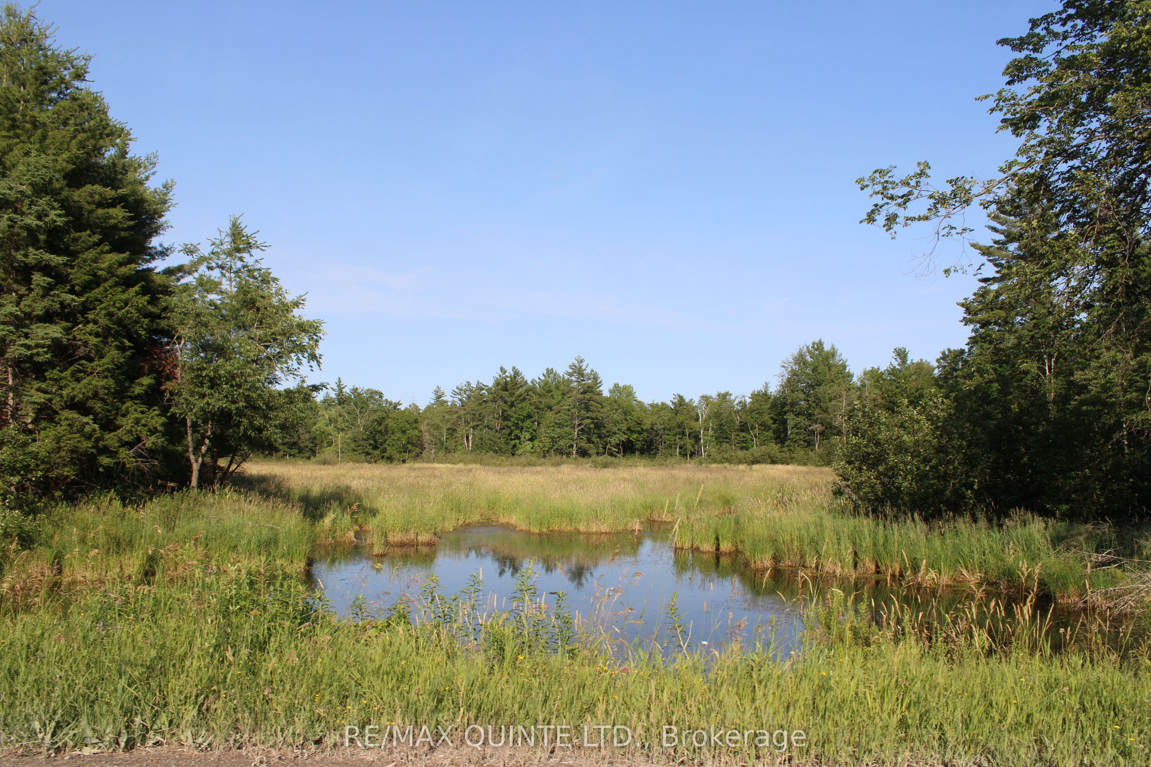 494 Twin Sister Lakes Rd Property Photo 6