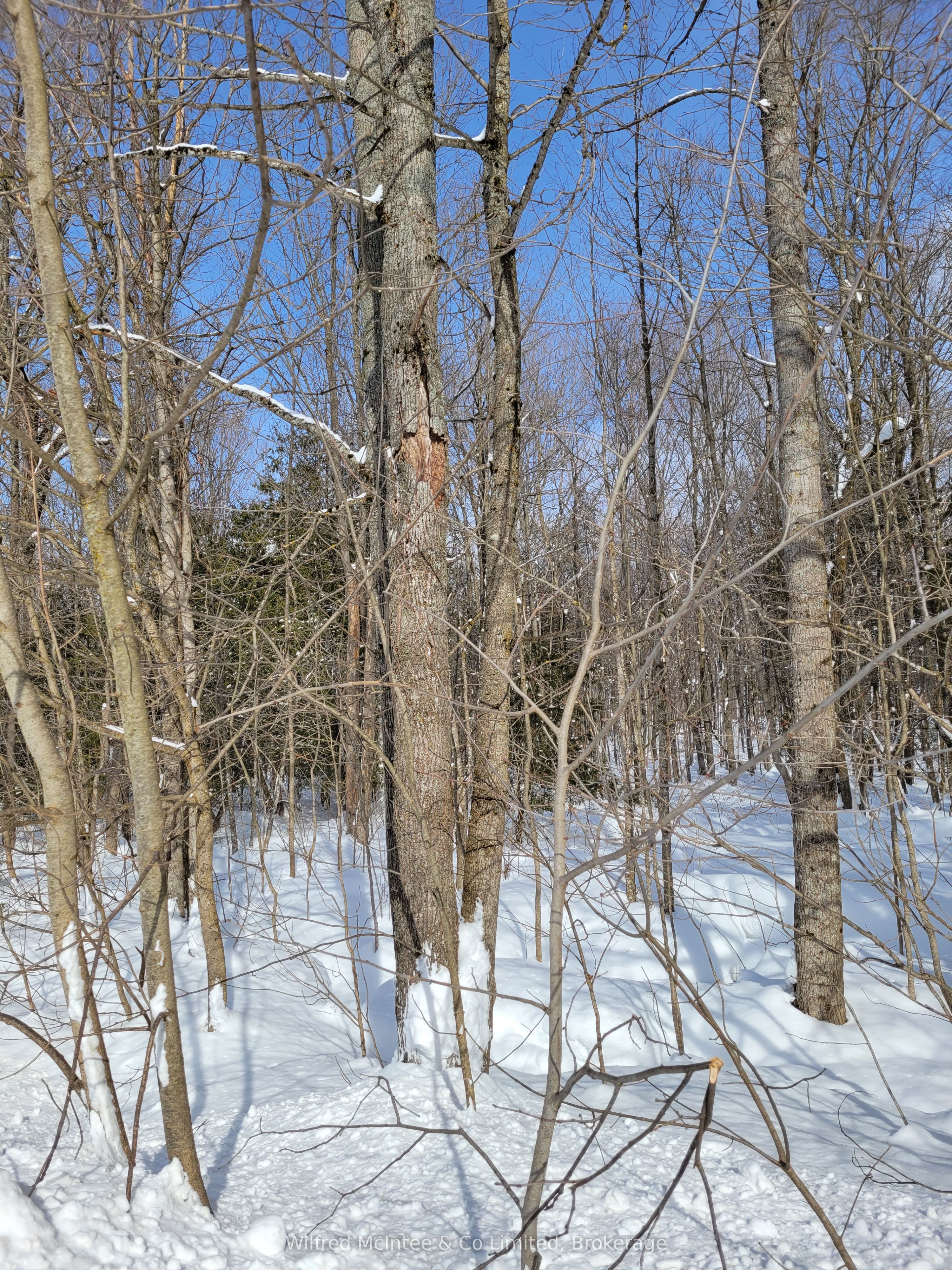 Ptlt 26 Mulock Road Property Photo 3