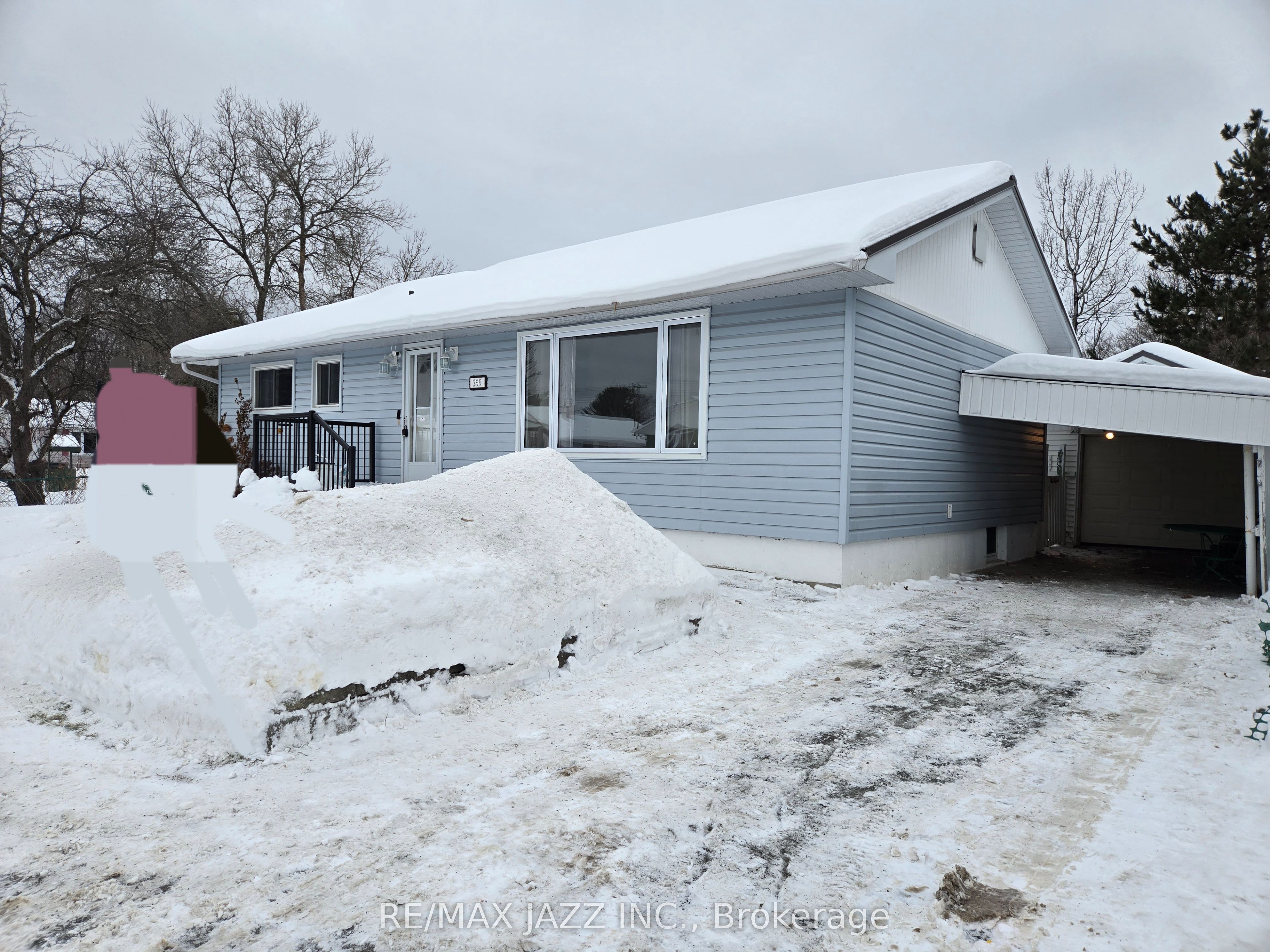 255 Mississauga Avenue Property Photo 1