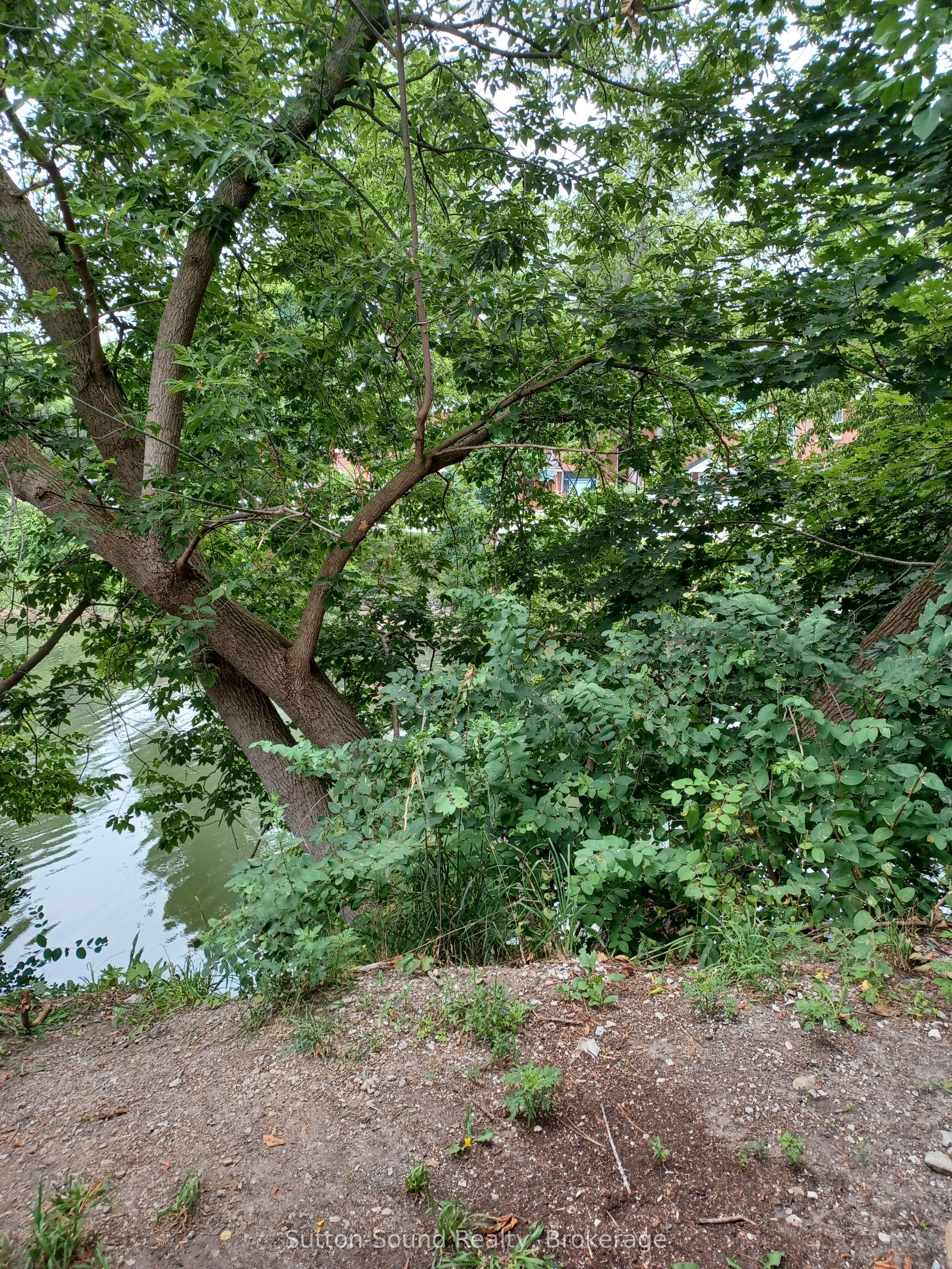 X 1st Avenue E Property Photo 3
