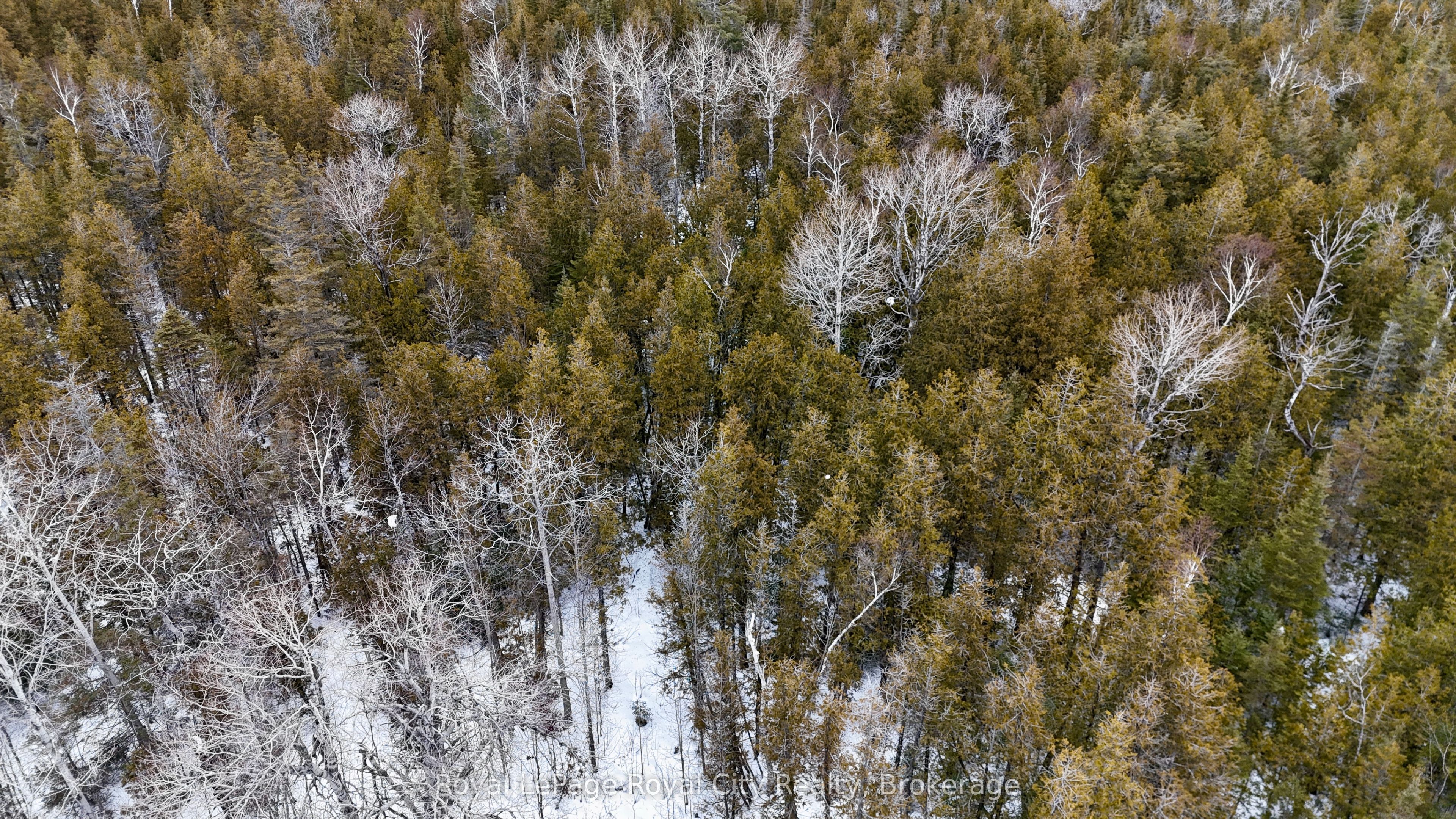 4616 6 Highway Property Photo 30