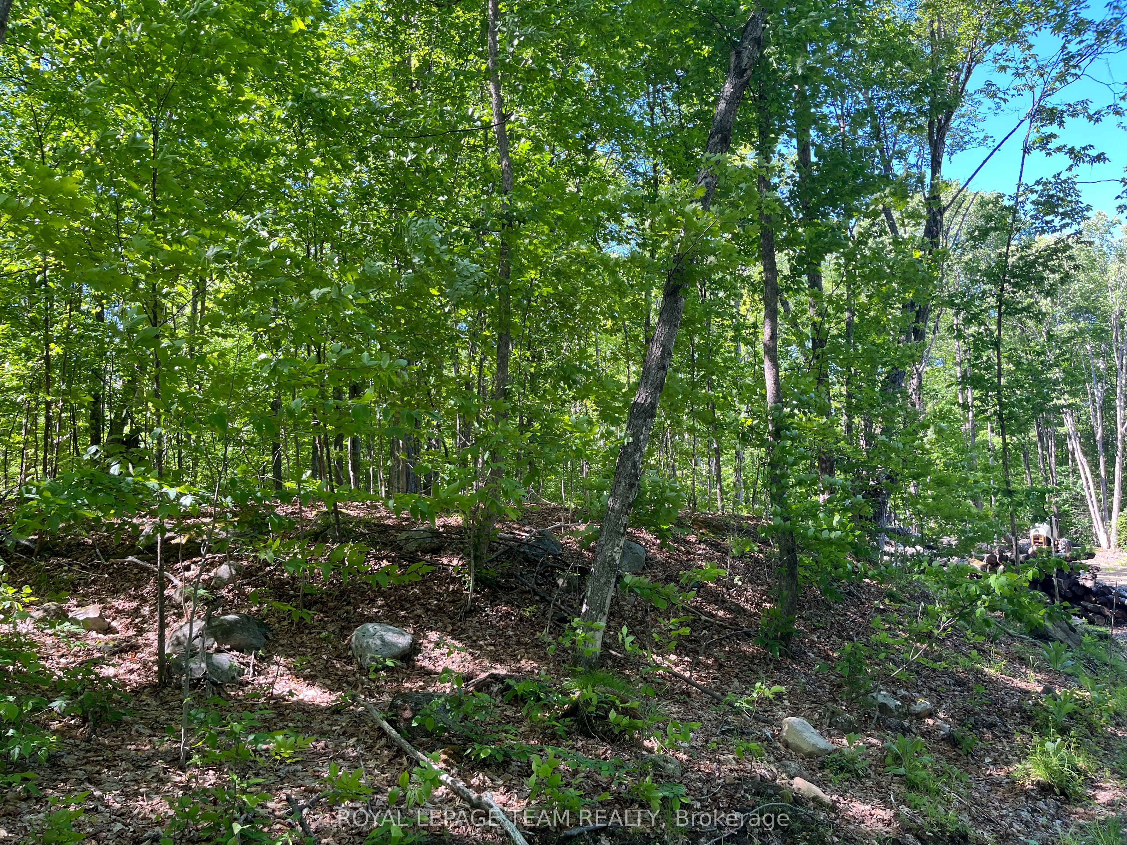 1 Siberia Rd Property Photo 1
